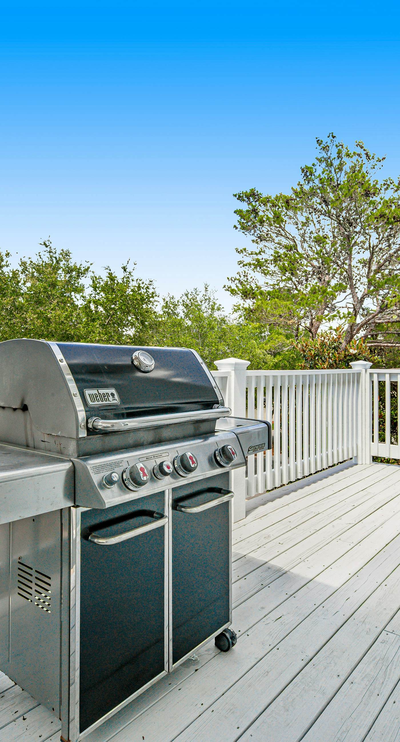 Updated, roomy Inlet Beach home with two outdoor decks and Shared Pool/Dock