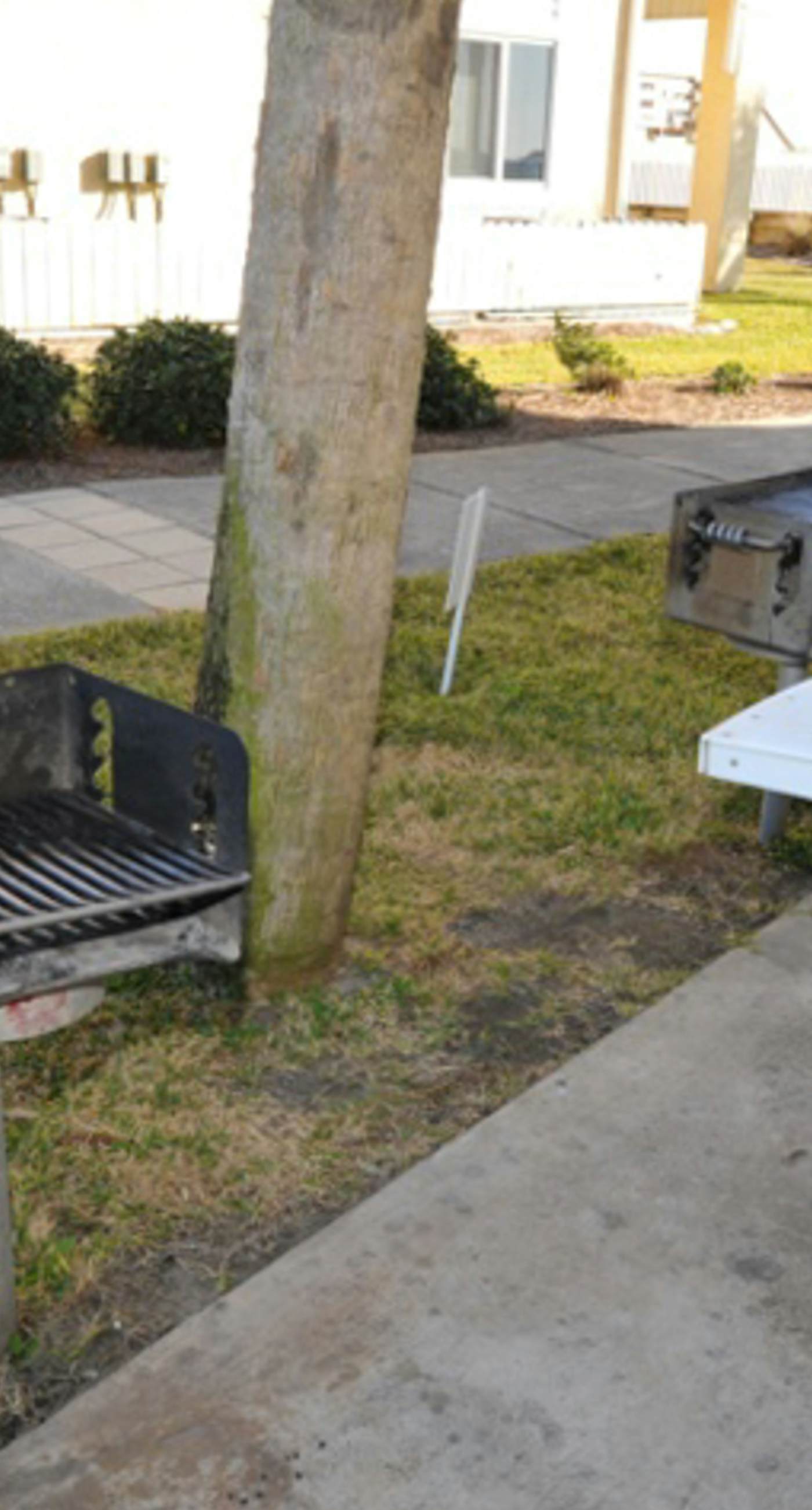 Pelican Isle 418-5th Floor Condo w/ Steps From The Gulf, Restaurants Minutes Away