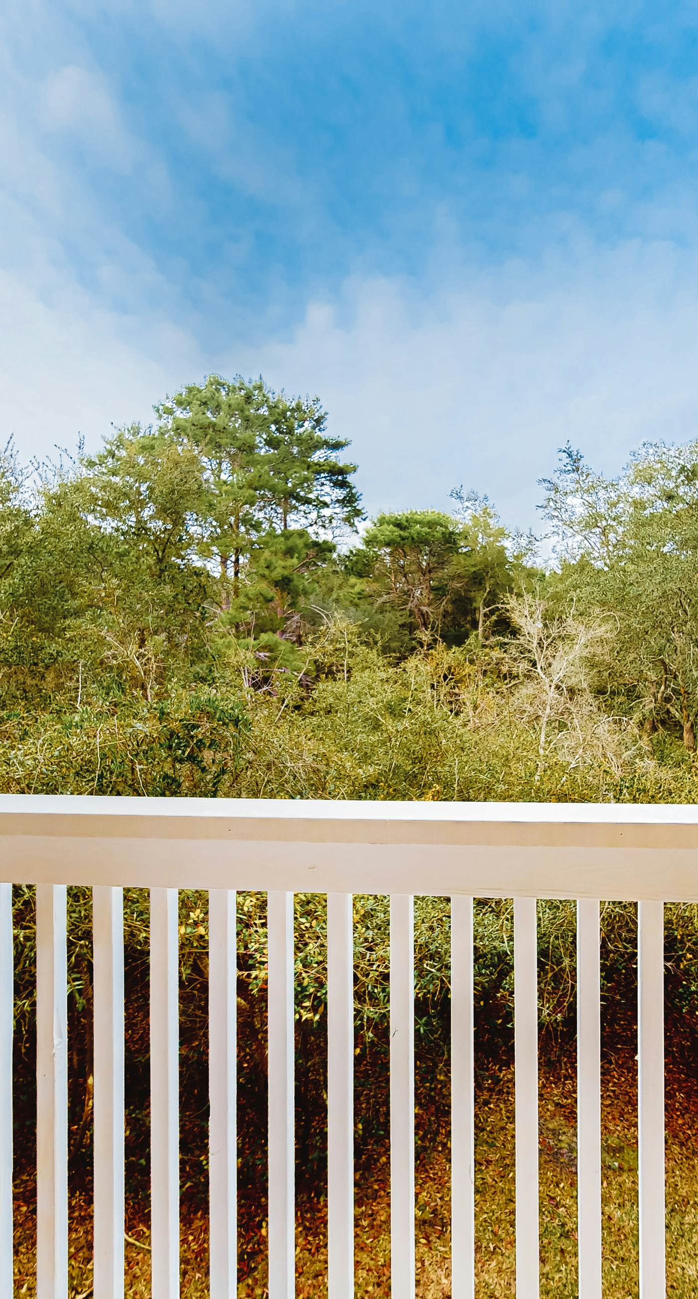 Peaceful condo with pool access, central AC, and washer&dryer