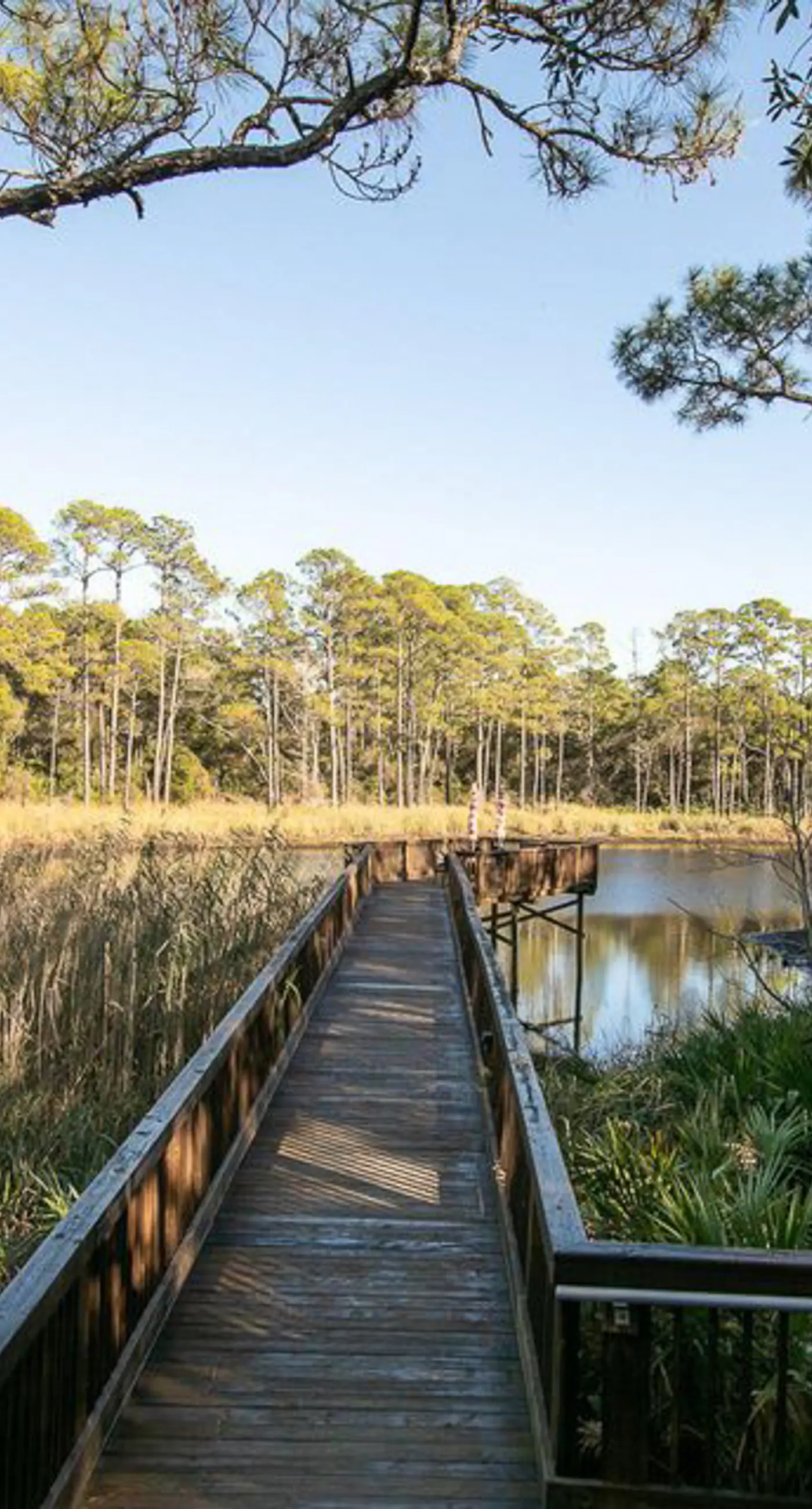 Spacious Redfish Village Condo with Private Beach Access - Shared Pool,Hot Tub