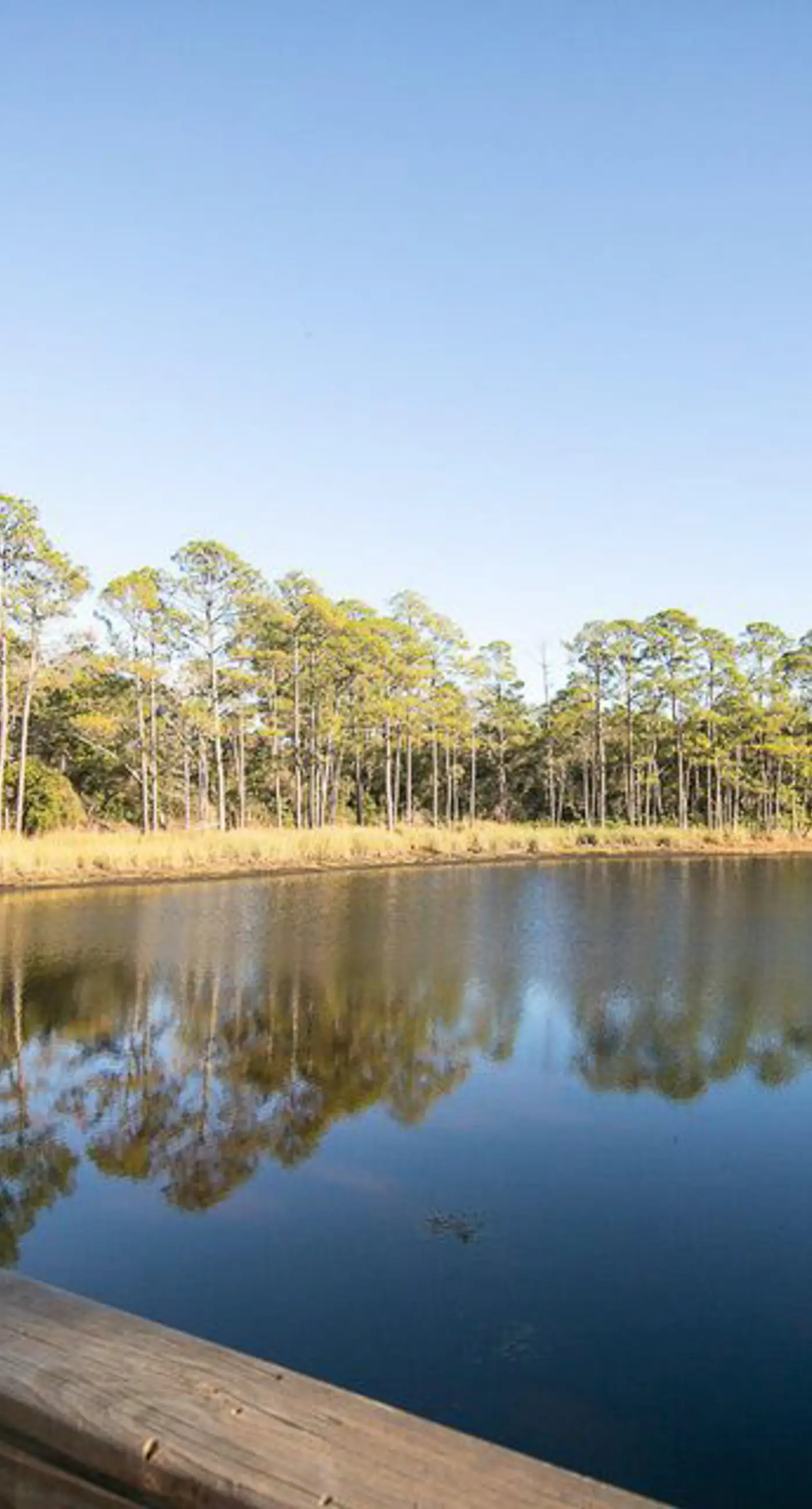 Spacious Redfish Village Condo with Private Beach Access - Shared Pool,Hot Tub