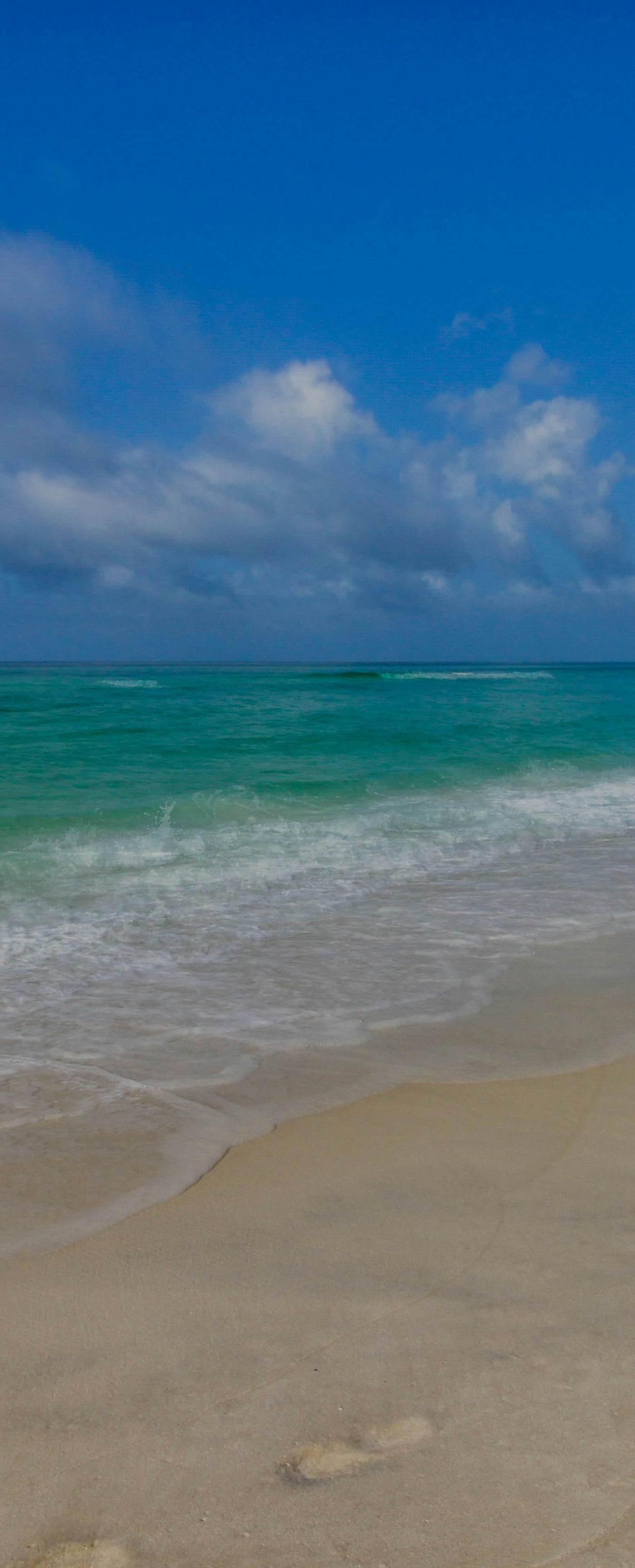 Completely Remodeled Beachside Studio with Pool - Snowbirds Welcome