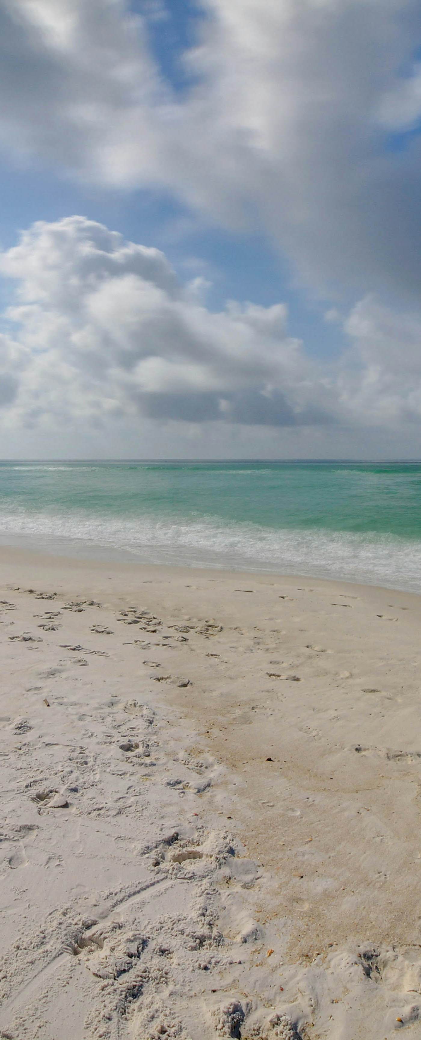 Completely Remodeled Beachside Studio with Pool - Snowbirds Welcome