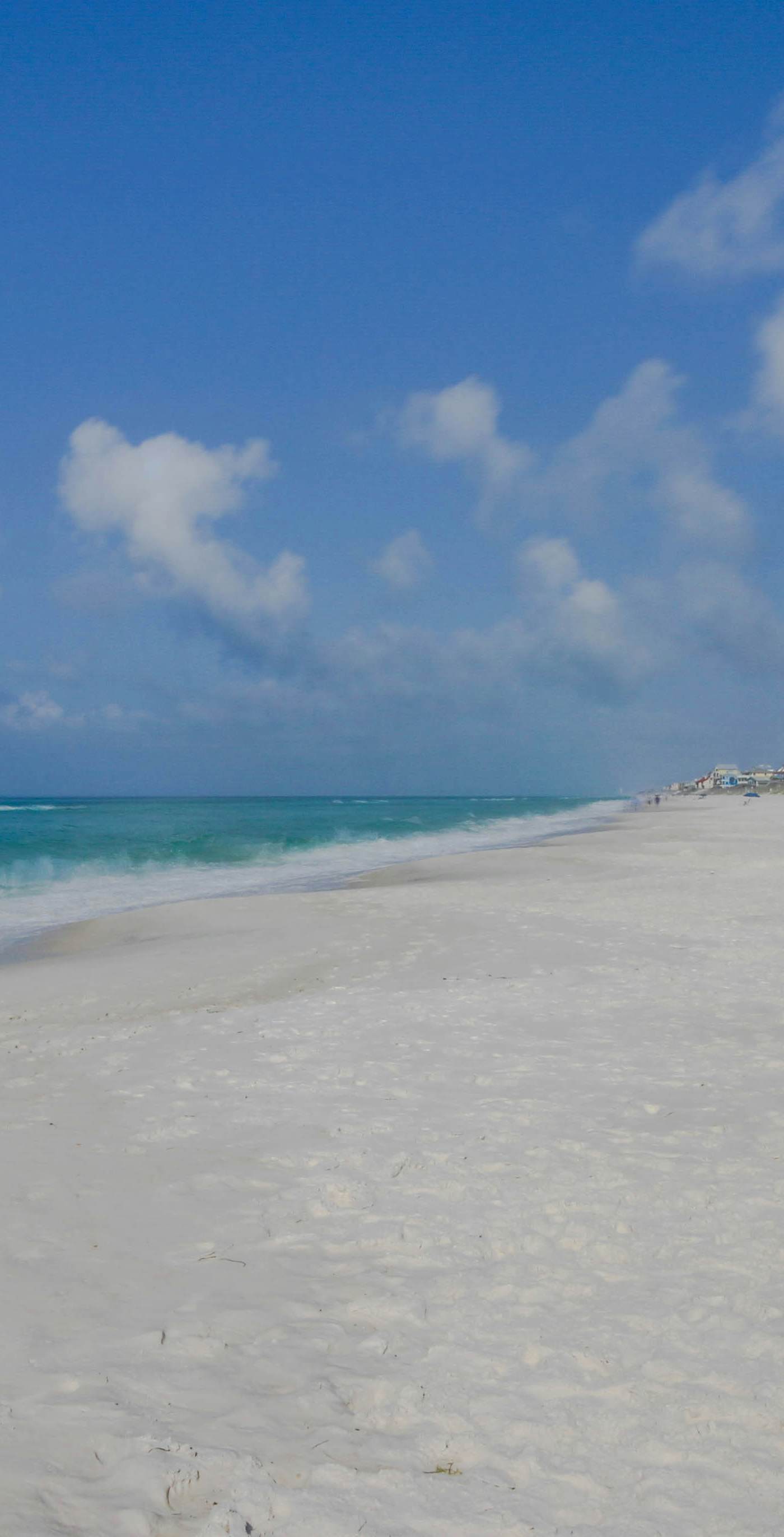 Completely Remodeled Beachside Studio with Pool - Snowbirds Welcome