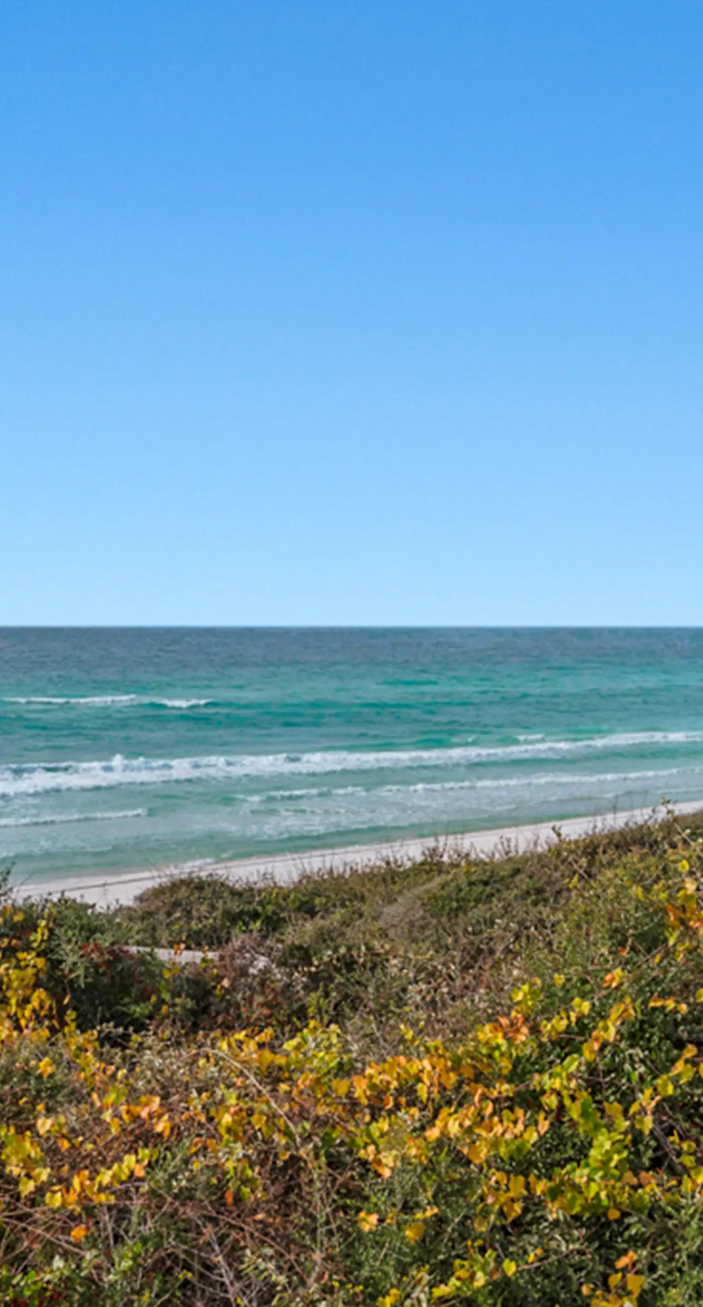 Beachfront Corner Condo w/ Free WiFi, Stunning Gulf View, & a Shared Pool