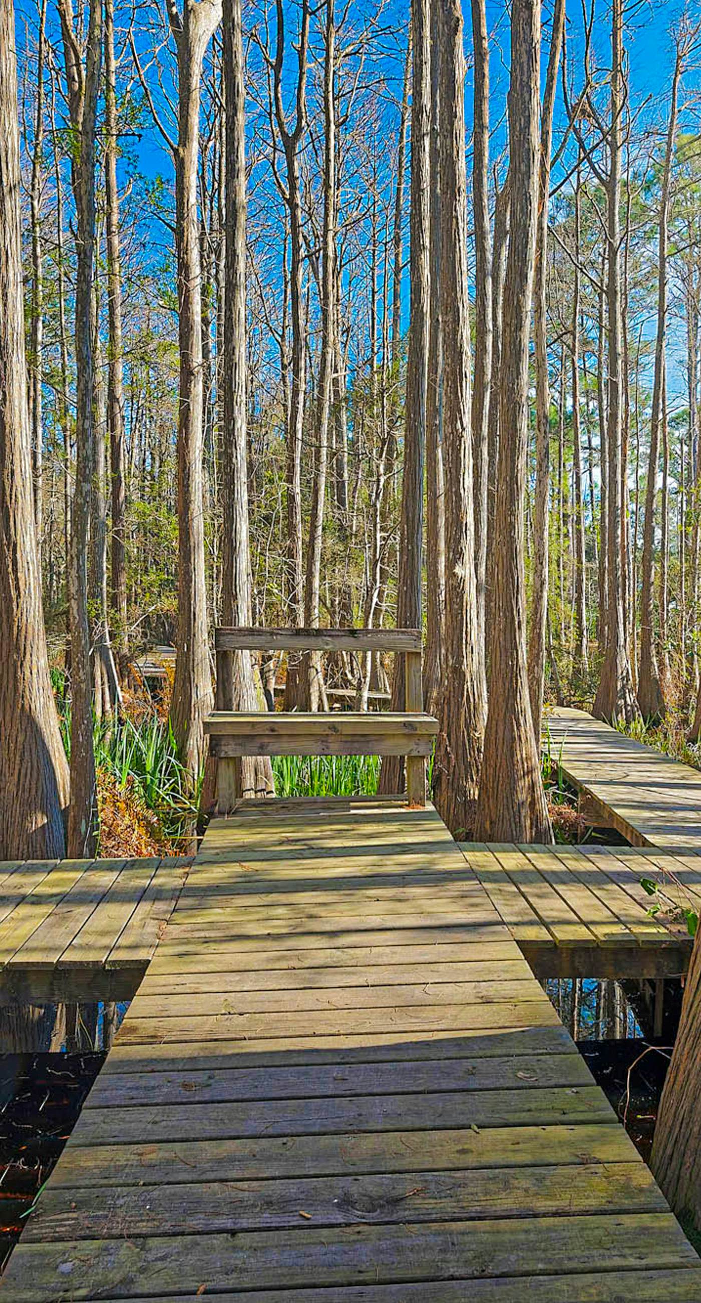 2nd-floor condo near beach with outdoor pool, tennis, balcony, washer&dryer, AC