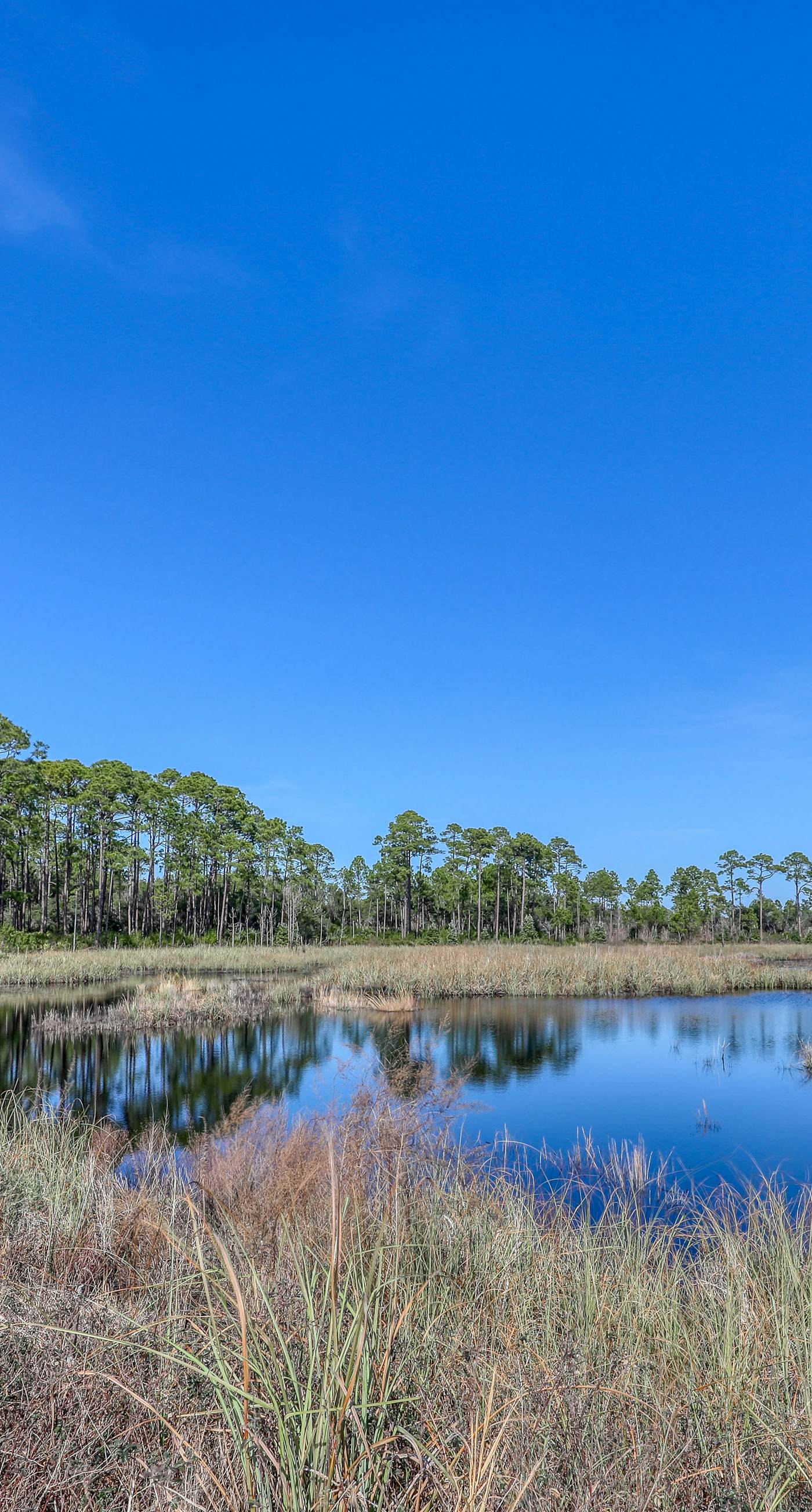 Cozy studio near the beach w/bright interior, shared pool, & prime location