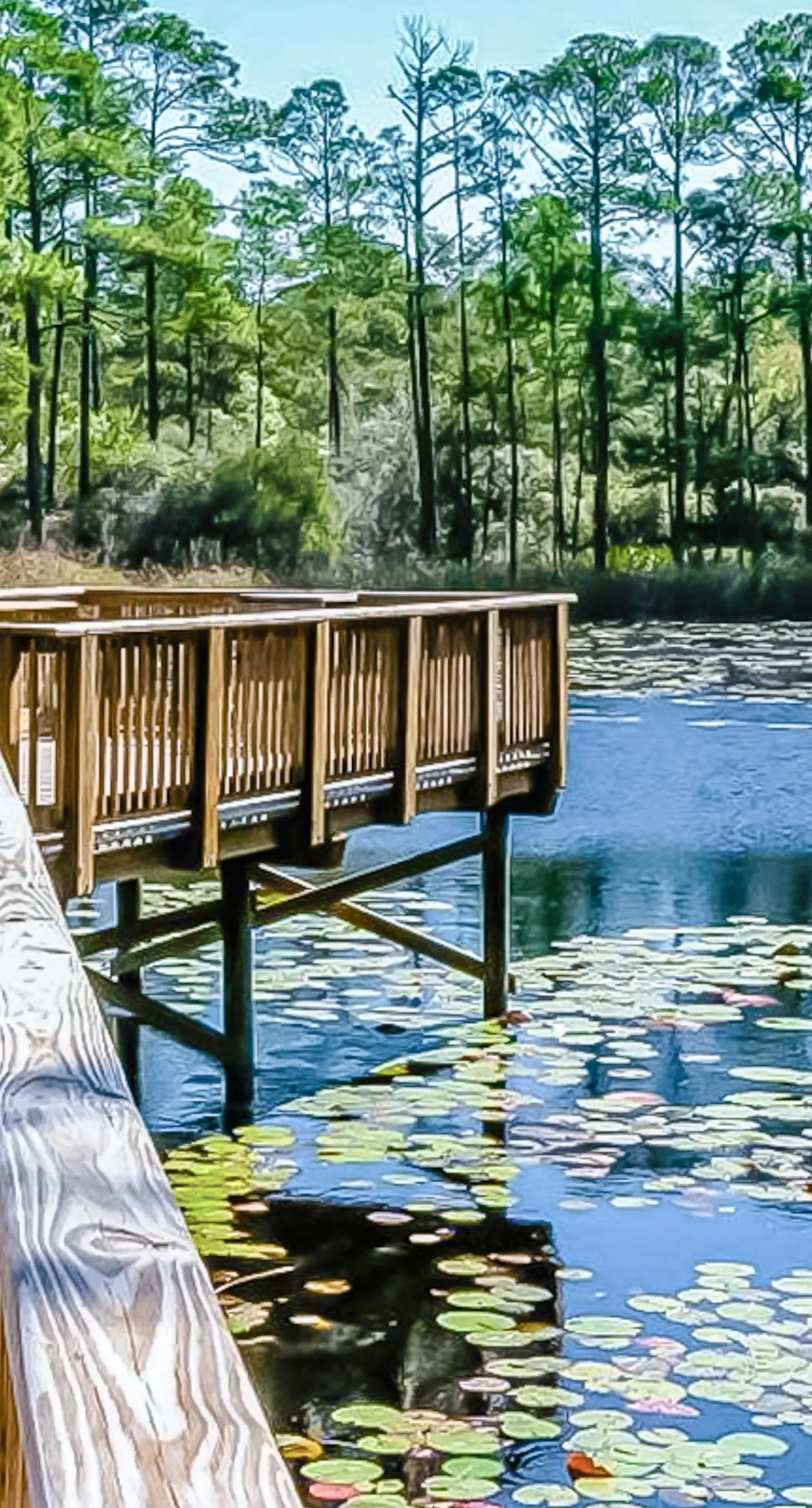 Redfish Village M2-414