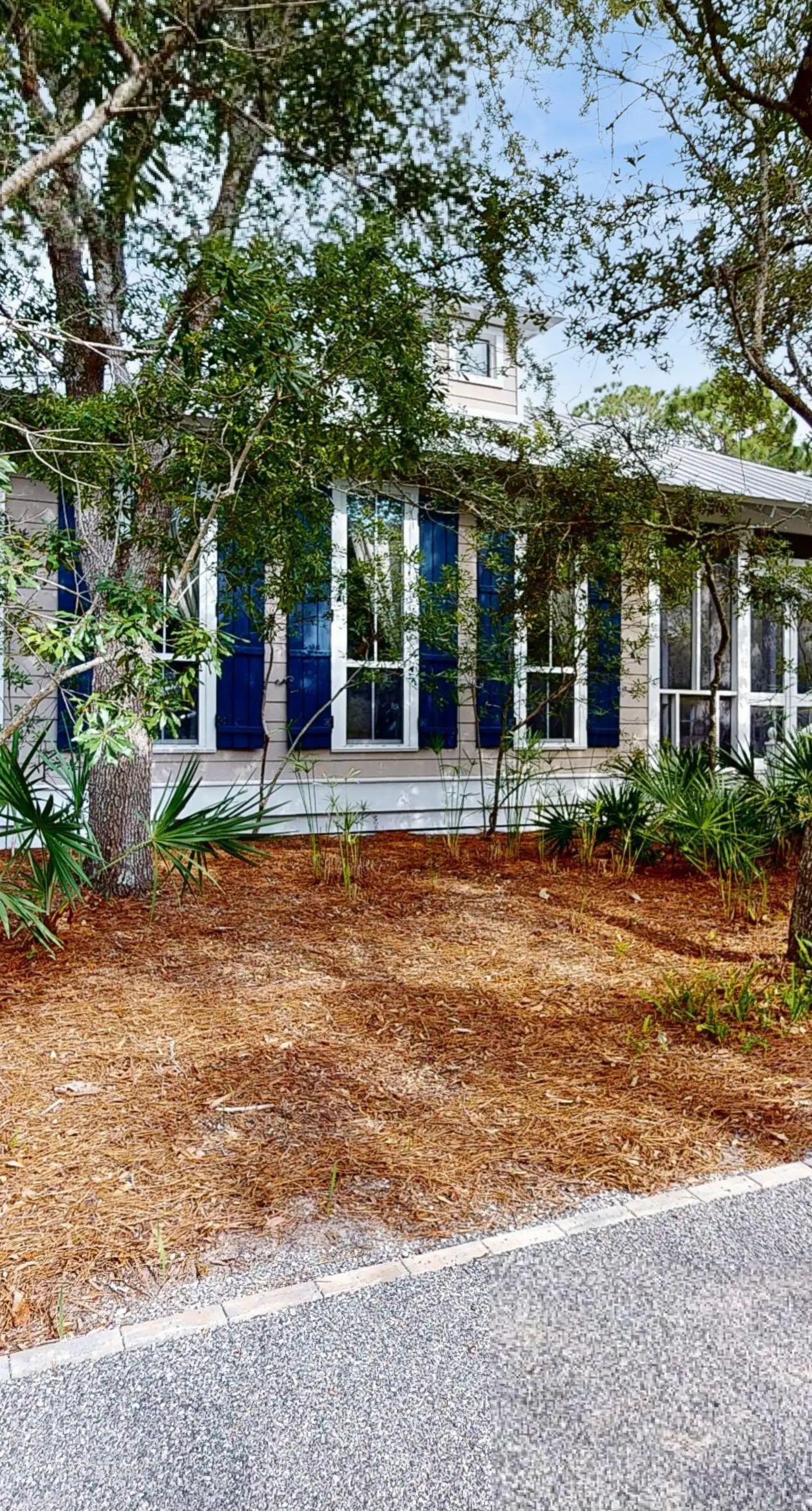Grove By The Sea - Panhandle Dreams