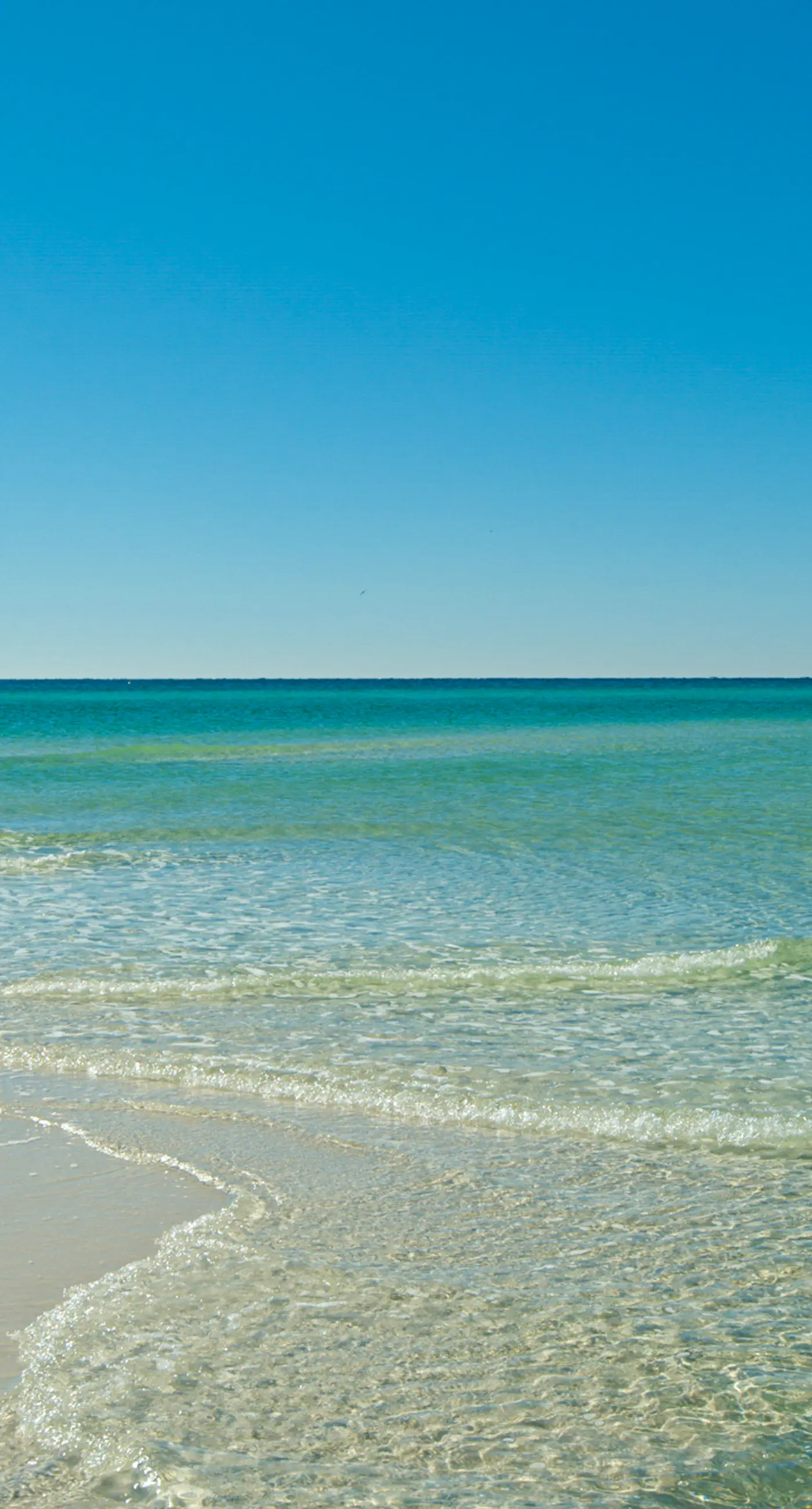 Grove By The Sea - Panhandle Dreams