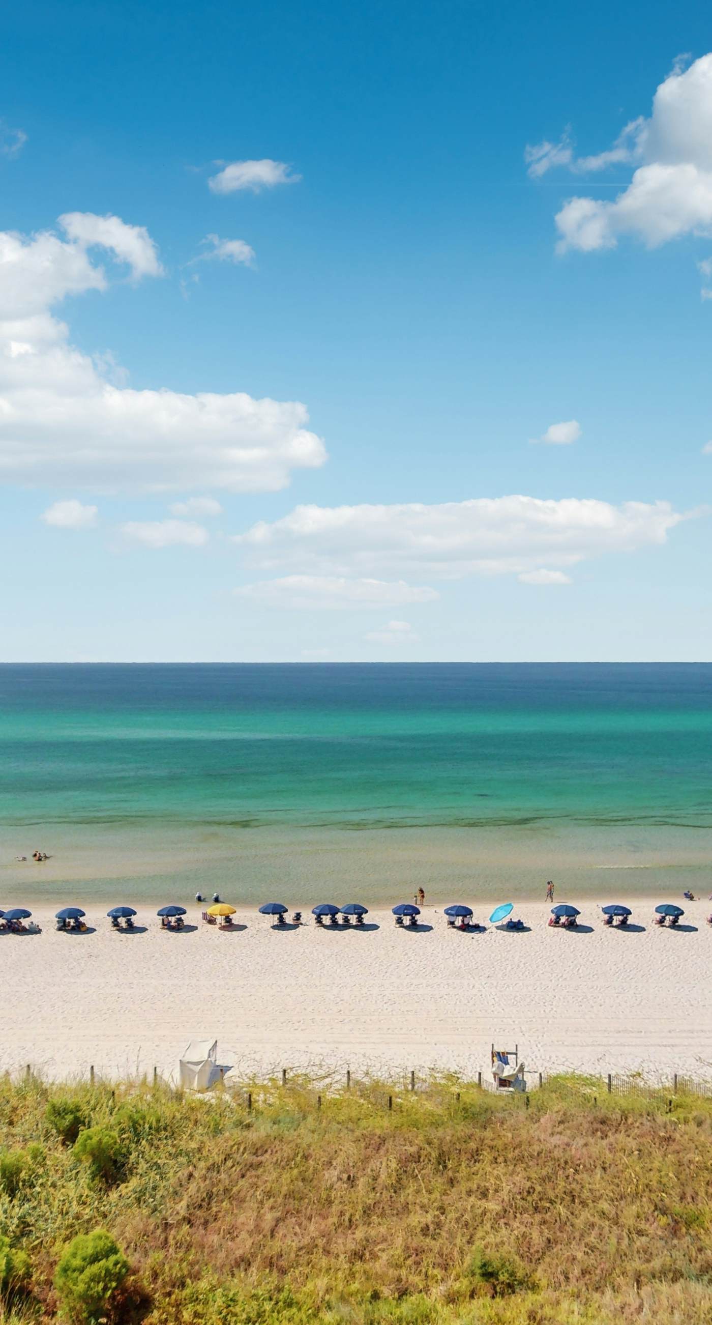 Gorgeous beach condo with furnished balcony, panoramic view & pickleball