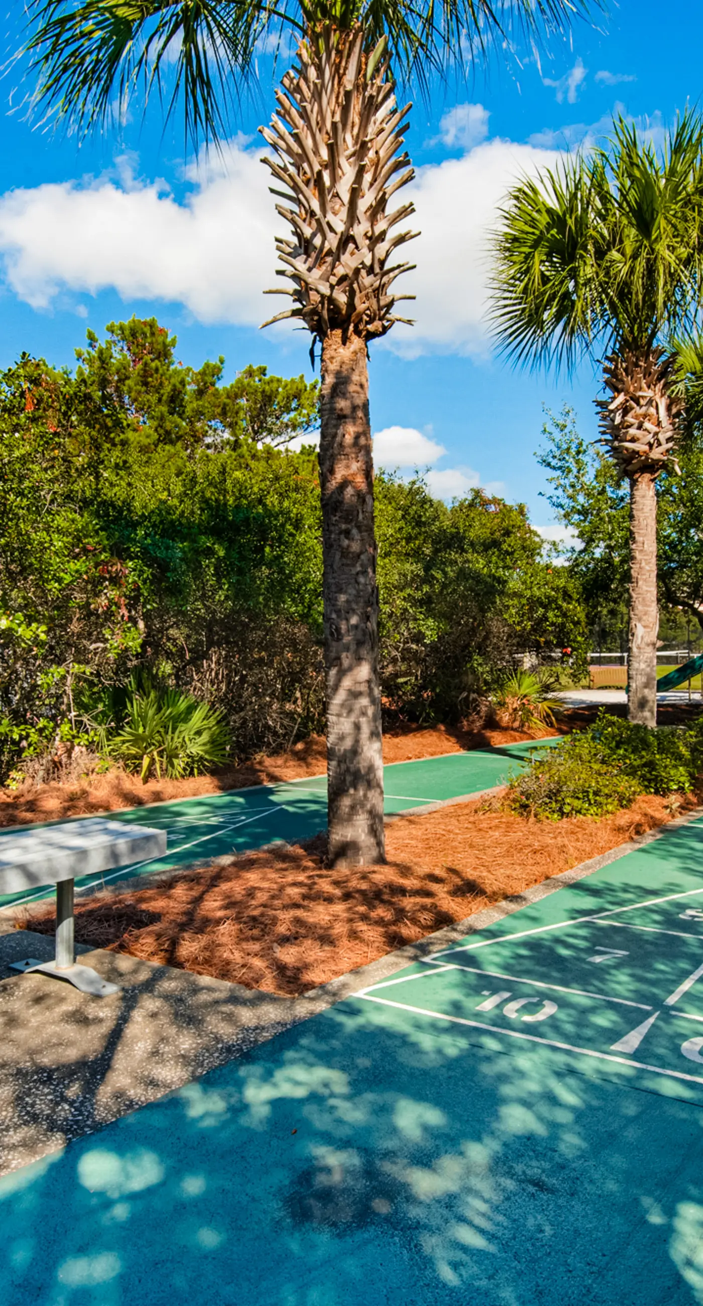 Beach dwelling with great view, pool & pickleball - snowbird-friendly