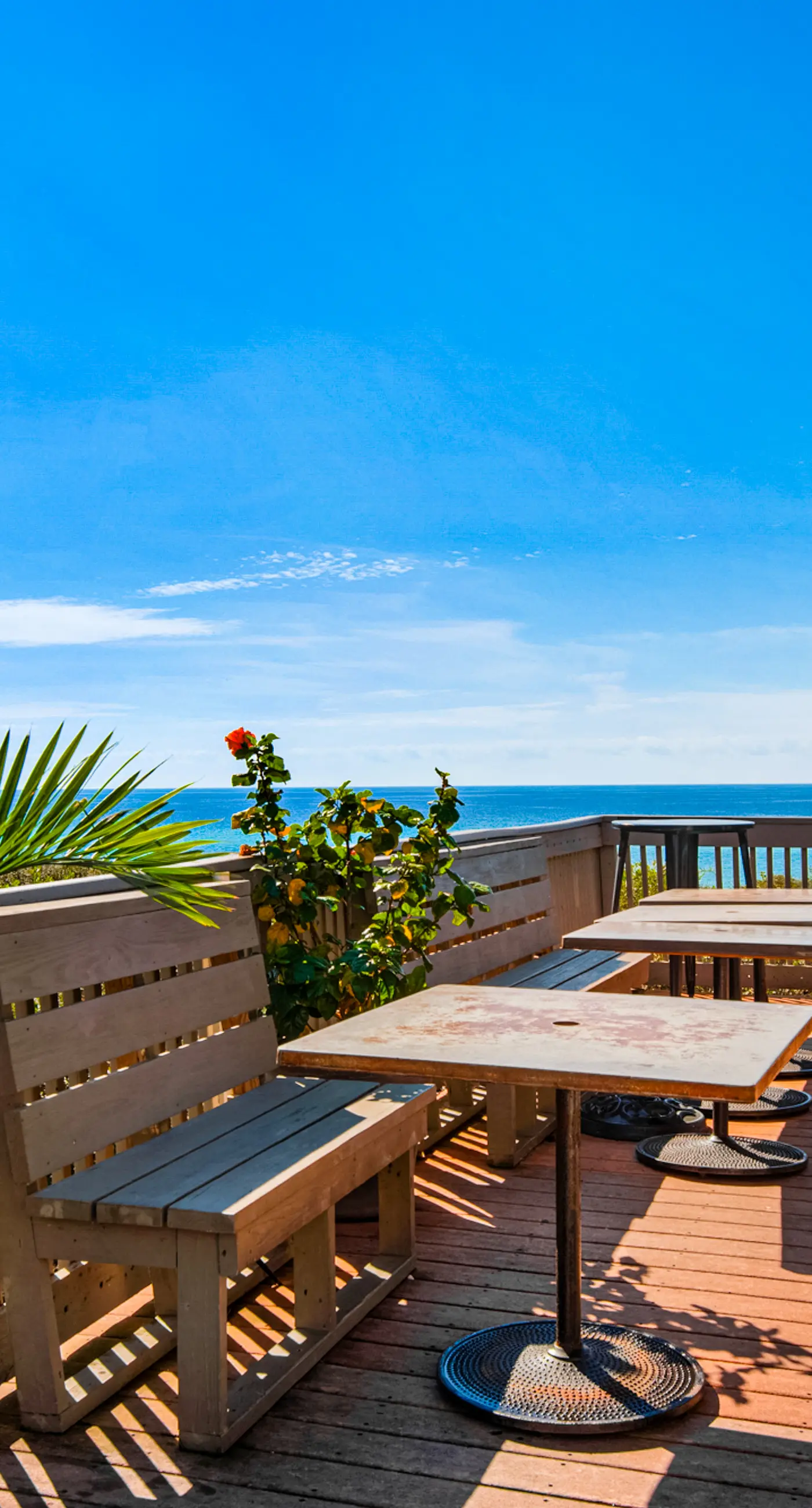 Snowbird-friendly condo with pickleball on the beach close to shops & dining