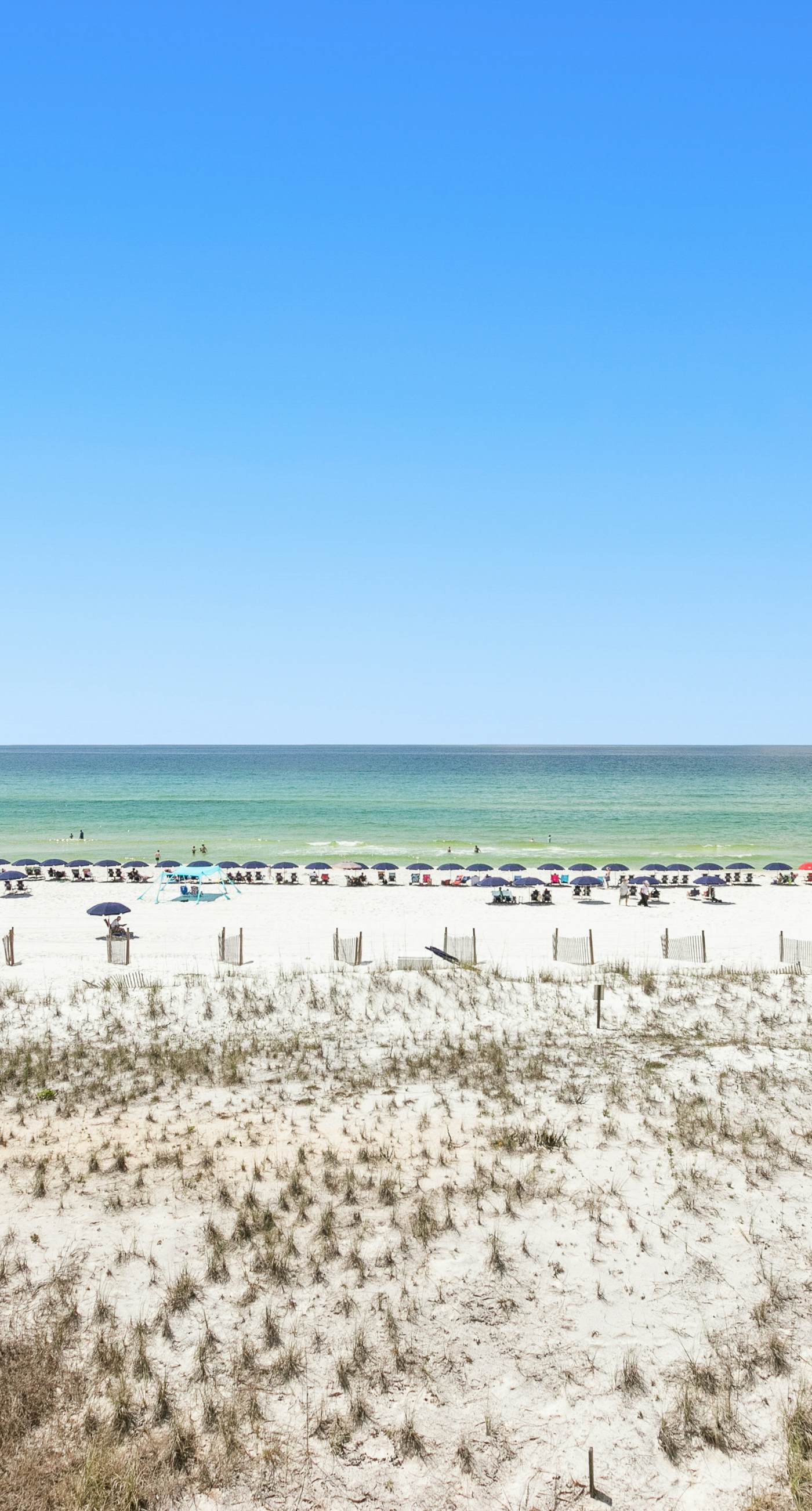 Pelican Isle 313-4th Floor Spacious Gulf Front Condo w/ Beach Service Included, Near Dining