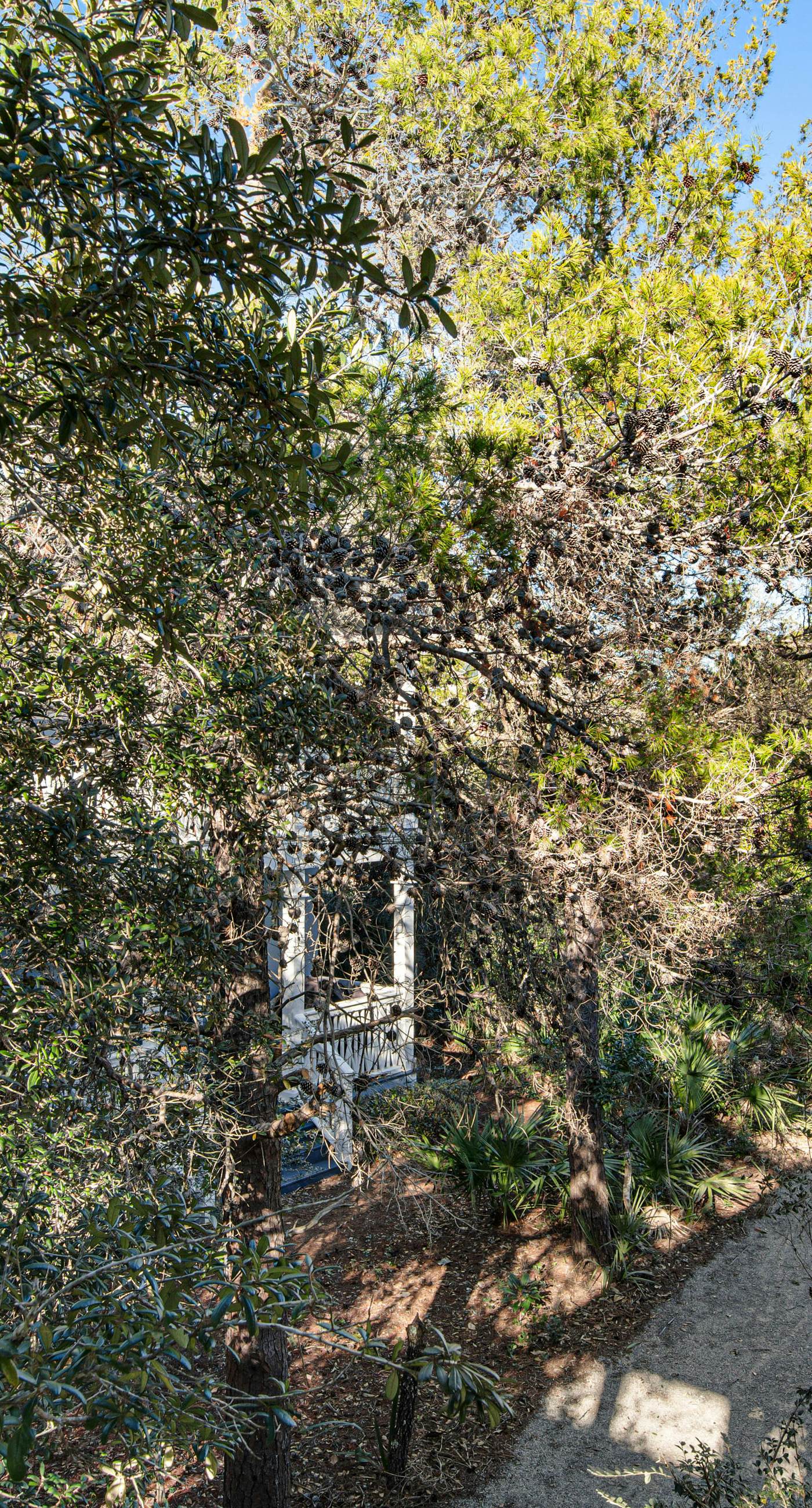 Gorgeous coastal home w/ shared pool - walk to beach, dining & shopping