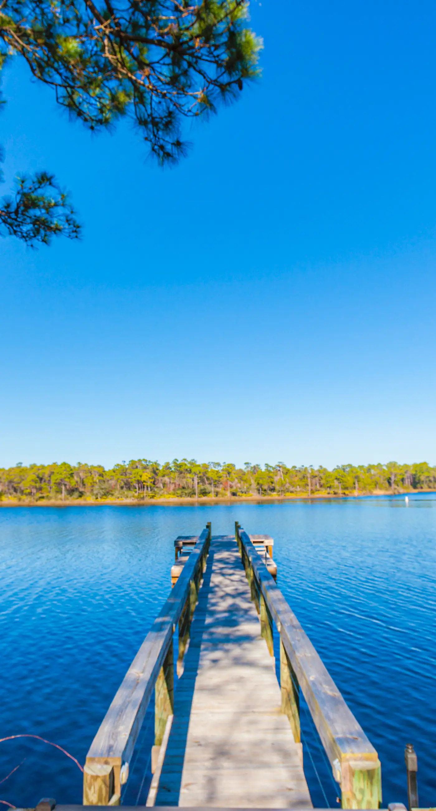 Coastal home with WiFi, central AC, decks, grill, firepit, pool, and dock