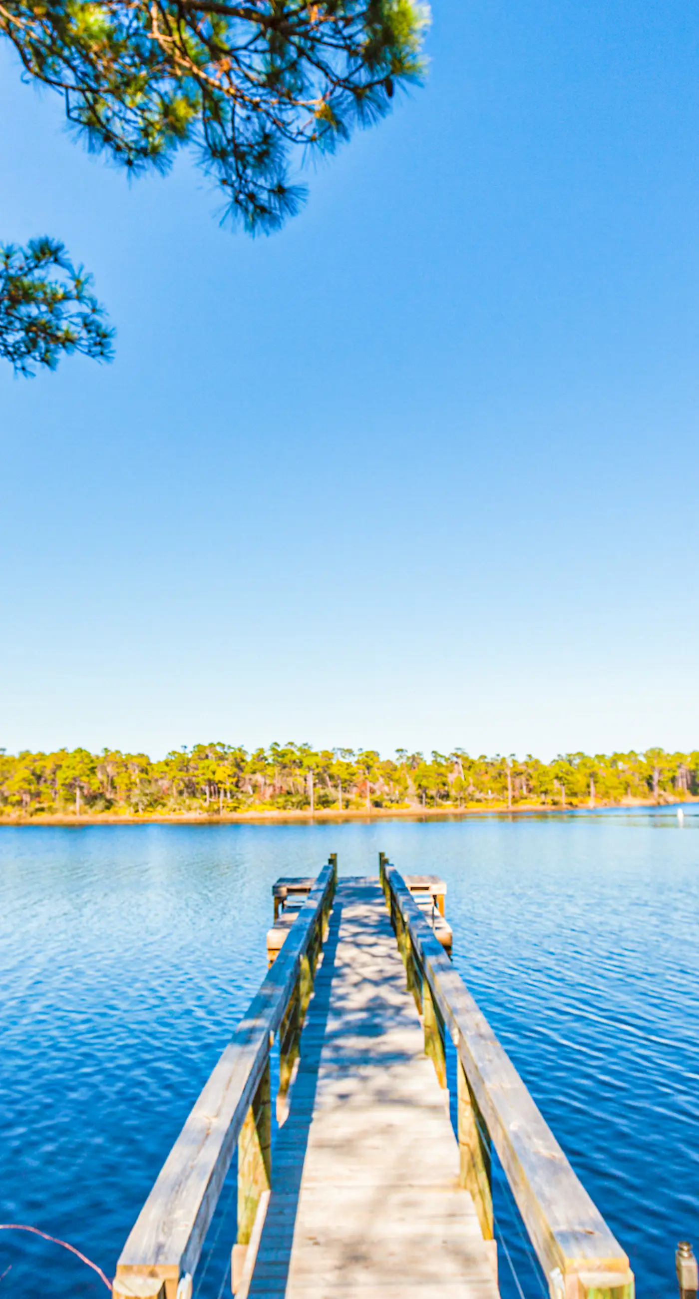 Brand-new house on Powell Lake near beach & 30A with pool, W&D, & gym