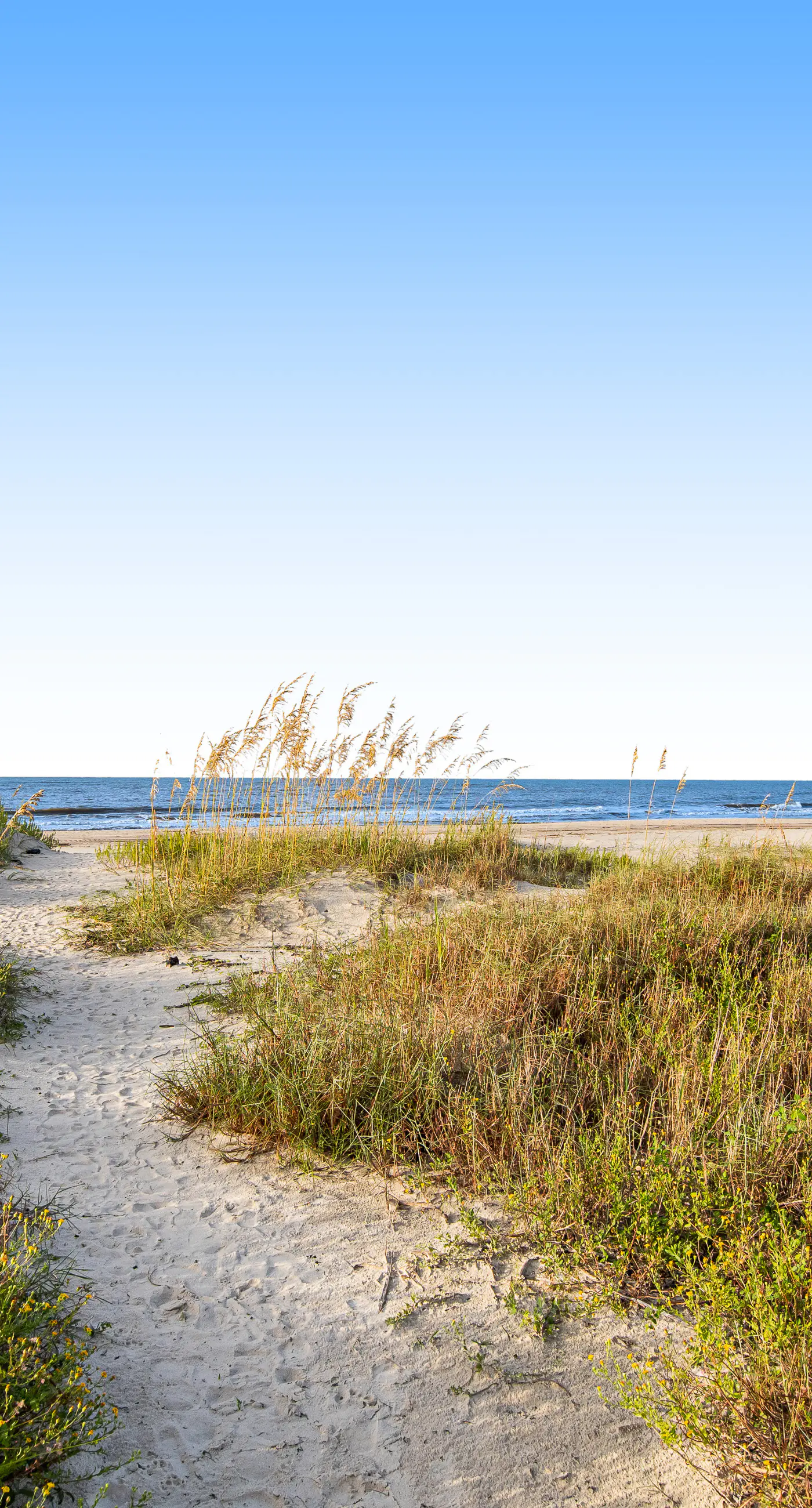 Dog-Friendly Home with Shared Pool, High-Speed WiFi, Washer/Dryer, & Central AC