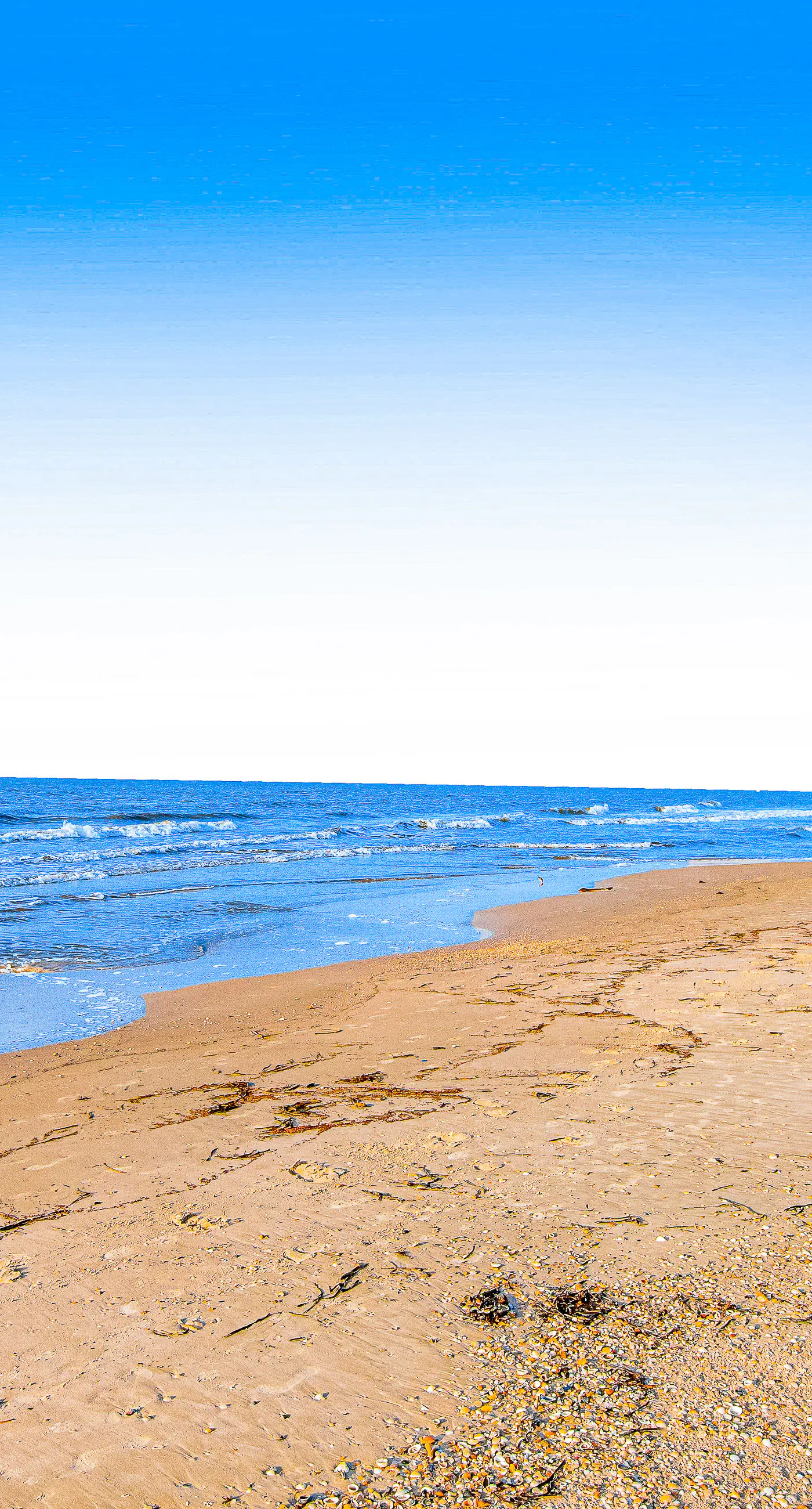 Dog-Friendly Home with Shared Pool, High-Speed WiFi, Washer/Dryer, & Central AC