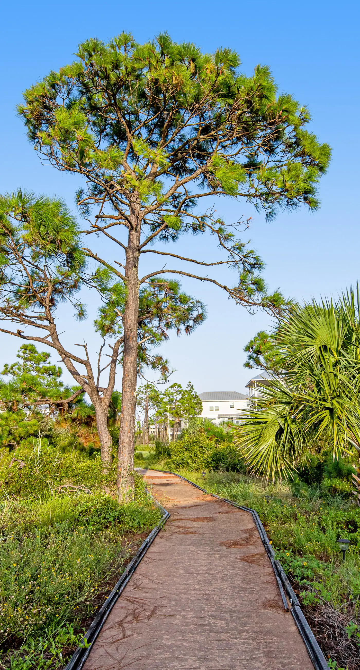Beautiful dog-friendly home with screened porch & pool access in great location