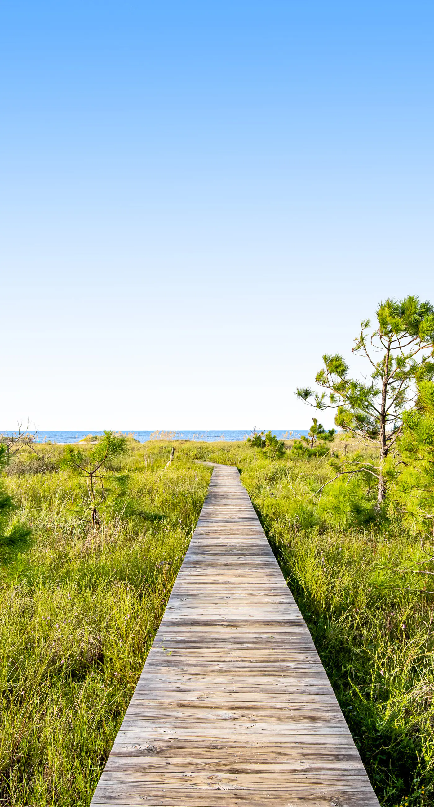 Beautiful dog-friendly home with screened porch & pool access in great location