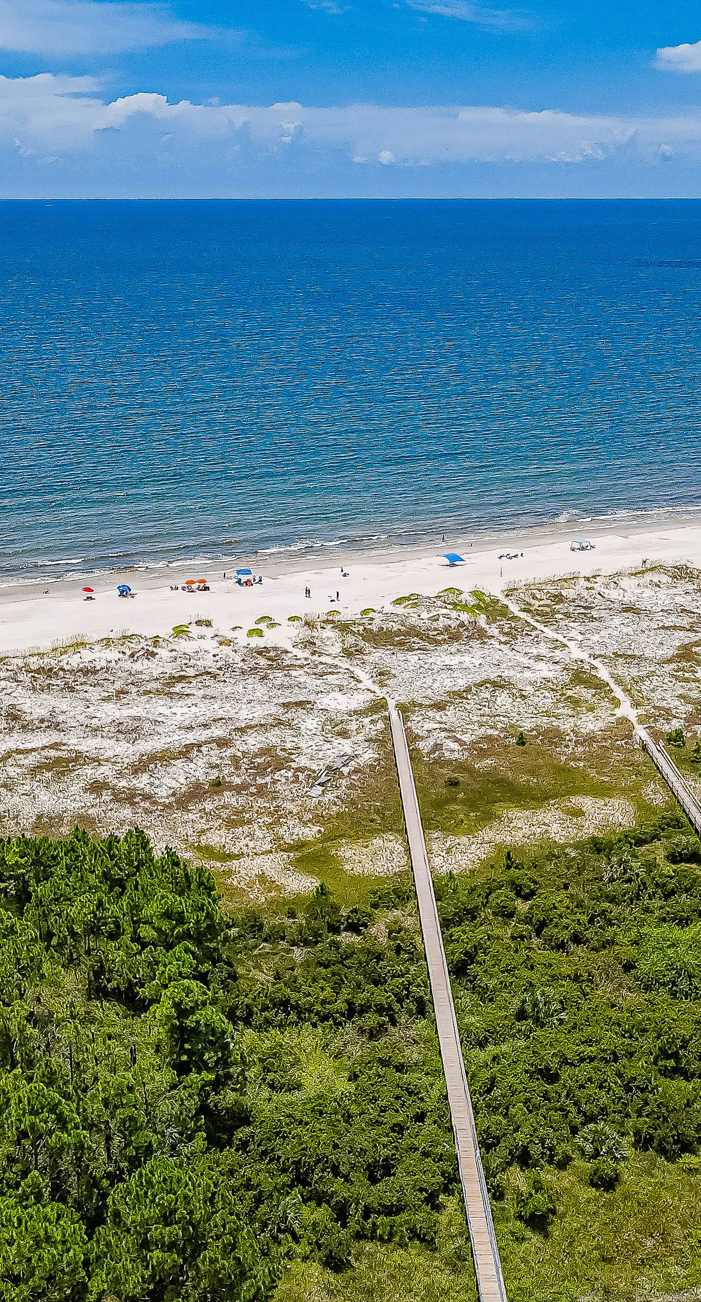 Beach Boy