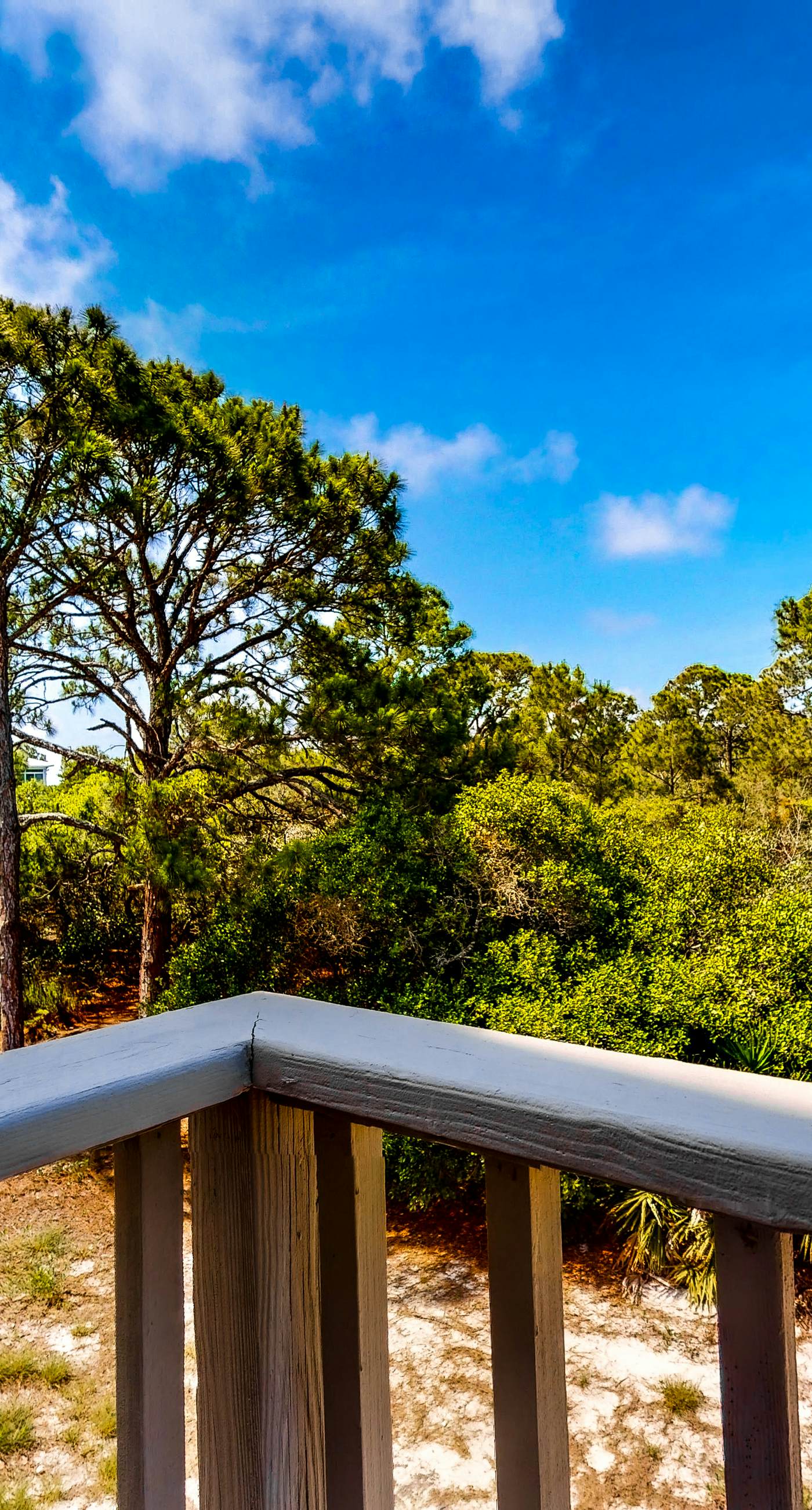 Dog-friendly home near the beach with beach gear, on-site pool & tennis