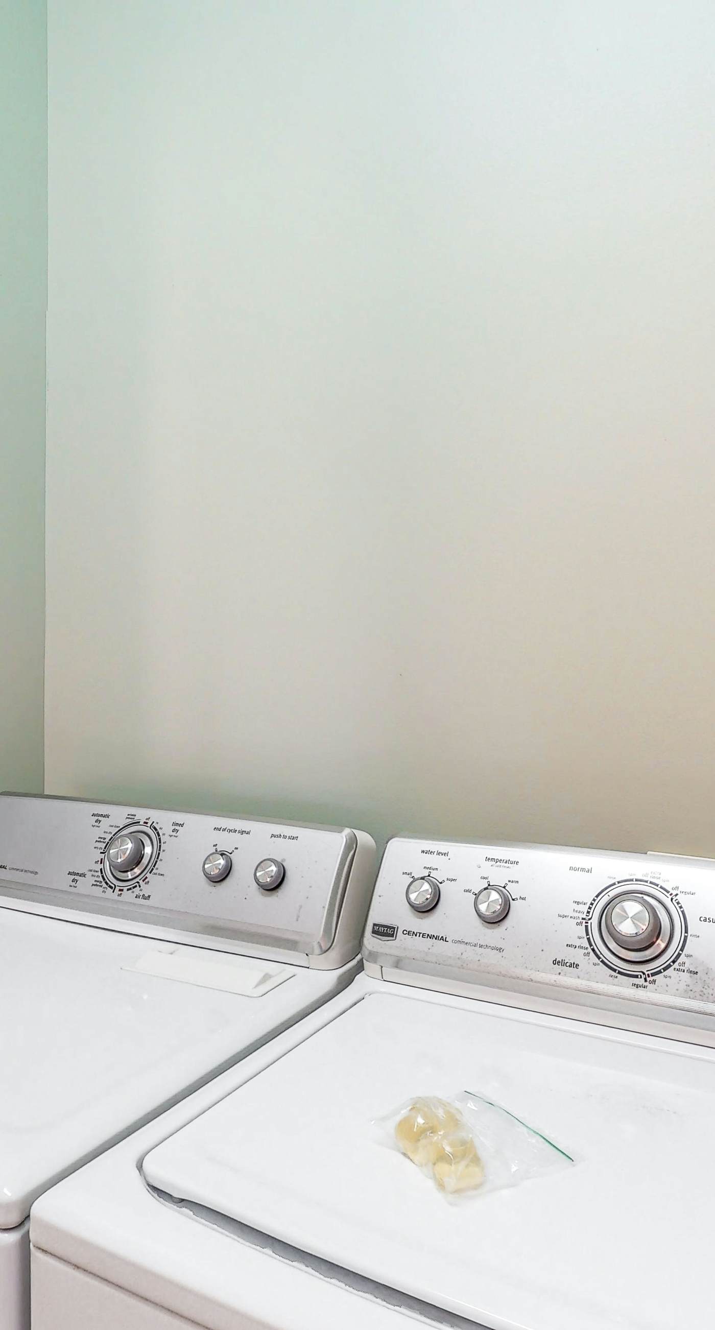 Dog-friendly cottage near the beach with patio, grill, washer/dryer, partial AC