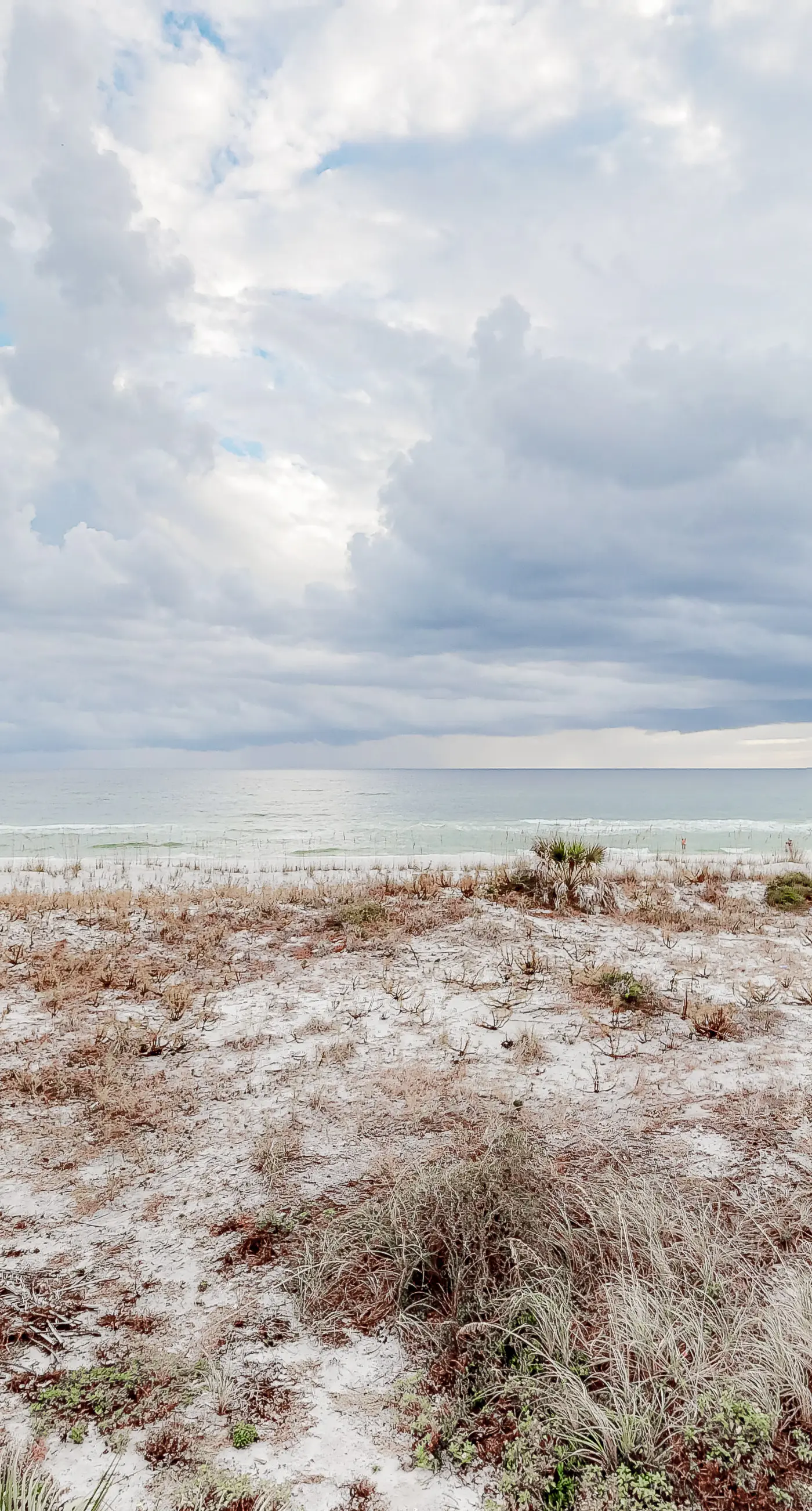 Gulf Dunes 209 - Charming Beachfront Condo, Perfectly Located Near Entertainment