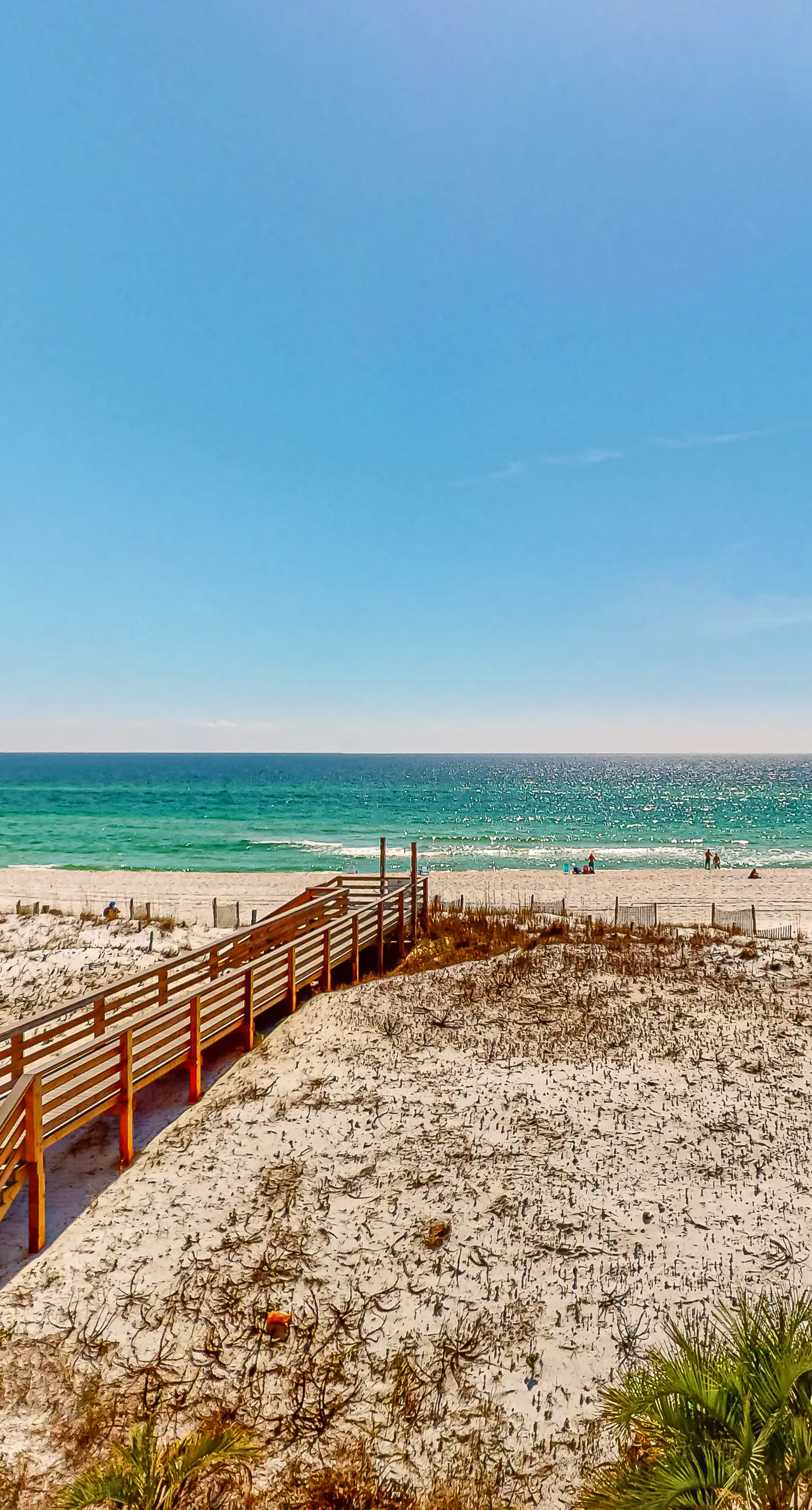 Gulf Dunes 317 - Relaxing oceanfront escape with fitness center, shared pool & views