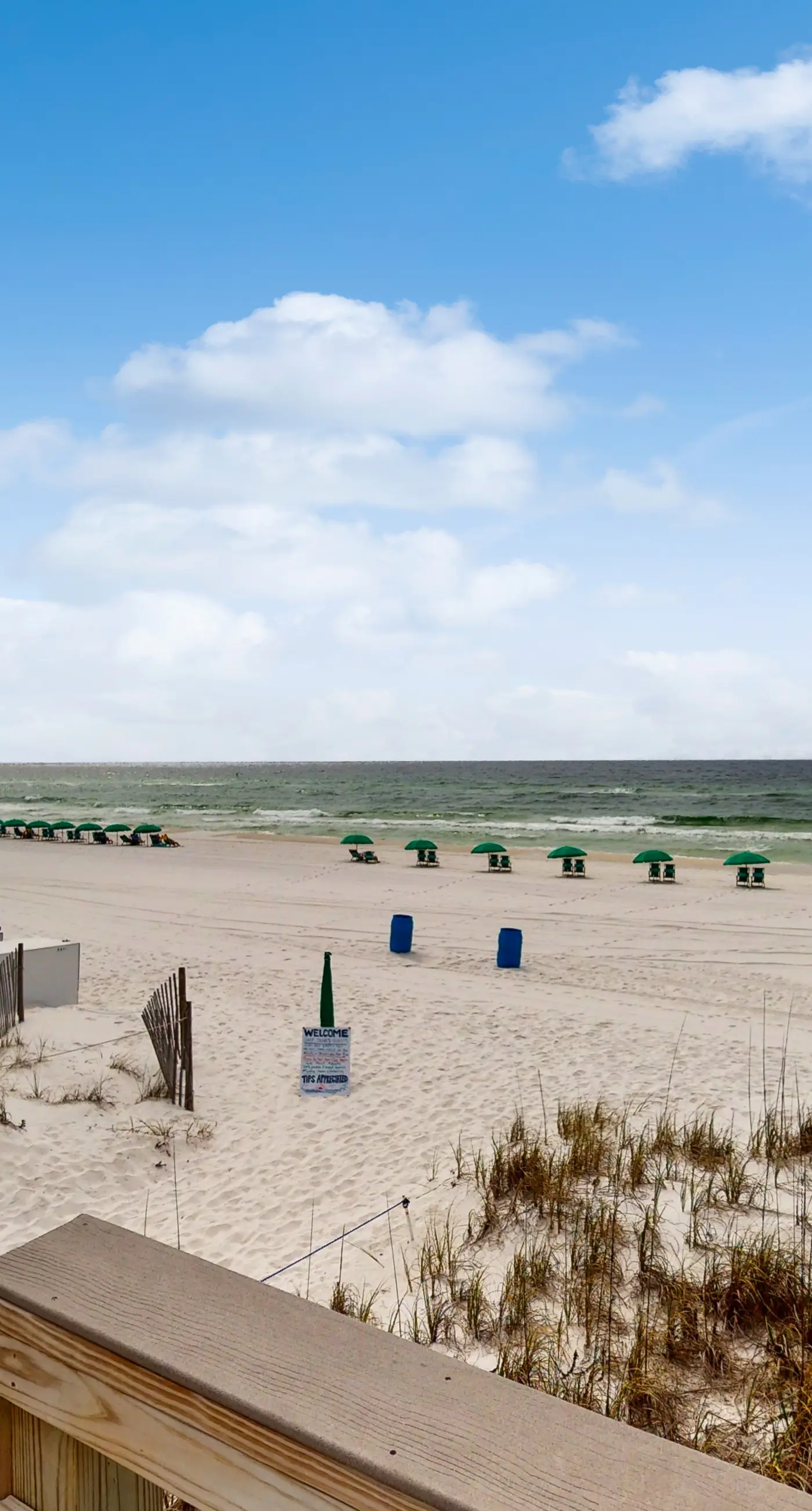 Gulf Dunes 317 - Relaxing oceanfront escape with fitness center, shared pool & views