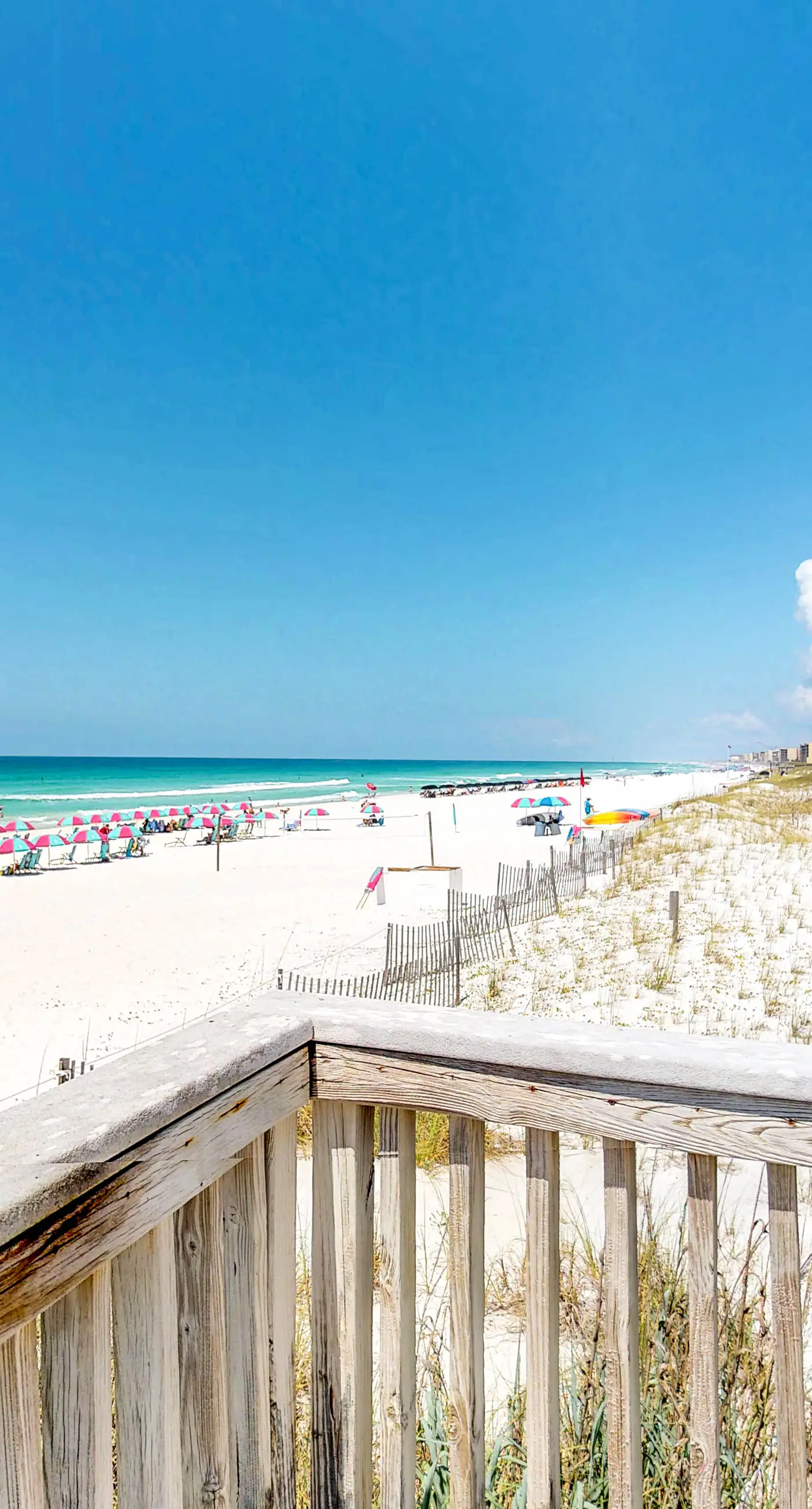 Gulf Dunes 317 - Relaxing oceanfront escape with fitness center, shared pool & views