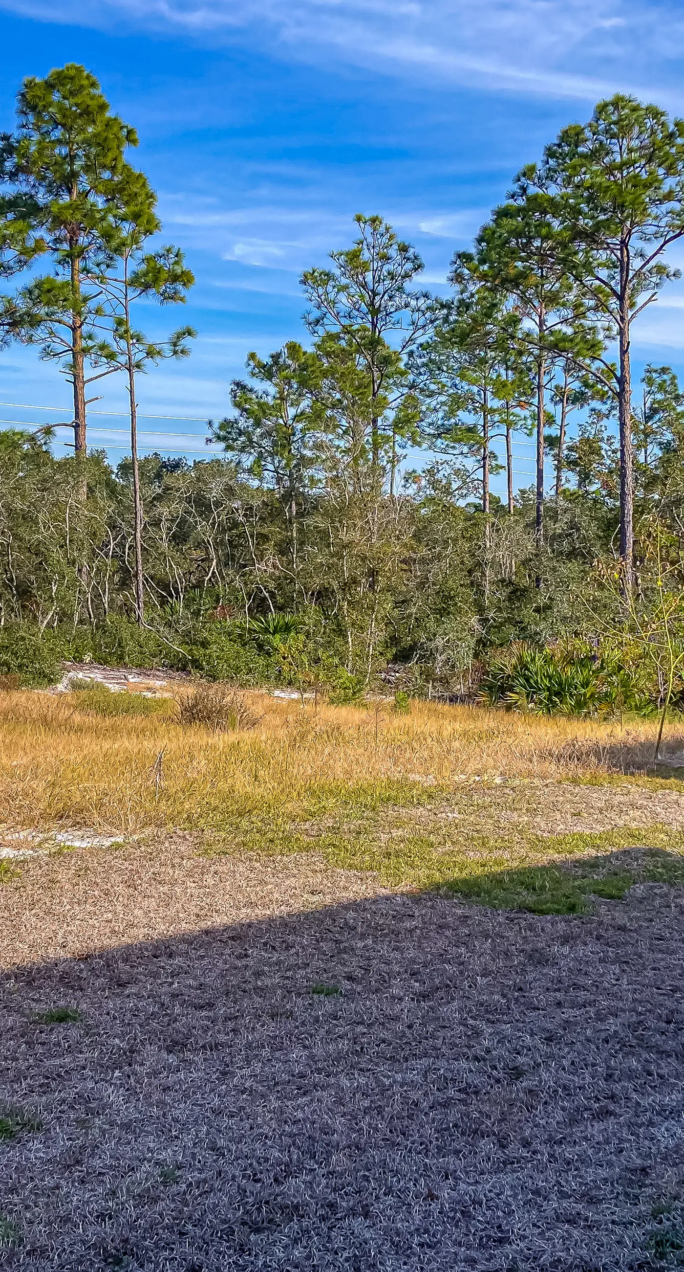 Snowbird-friendly resort home with pool, golf cart, patio, bikes, beach access