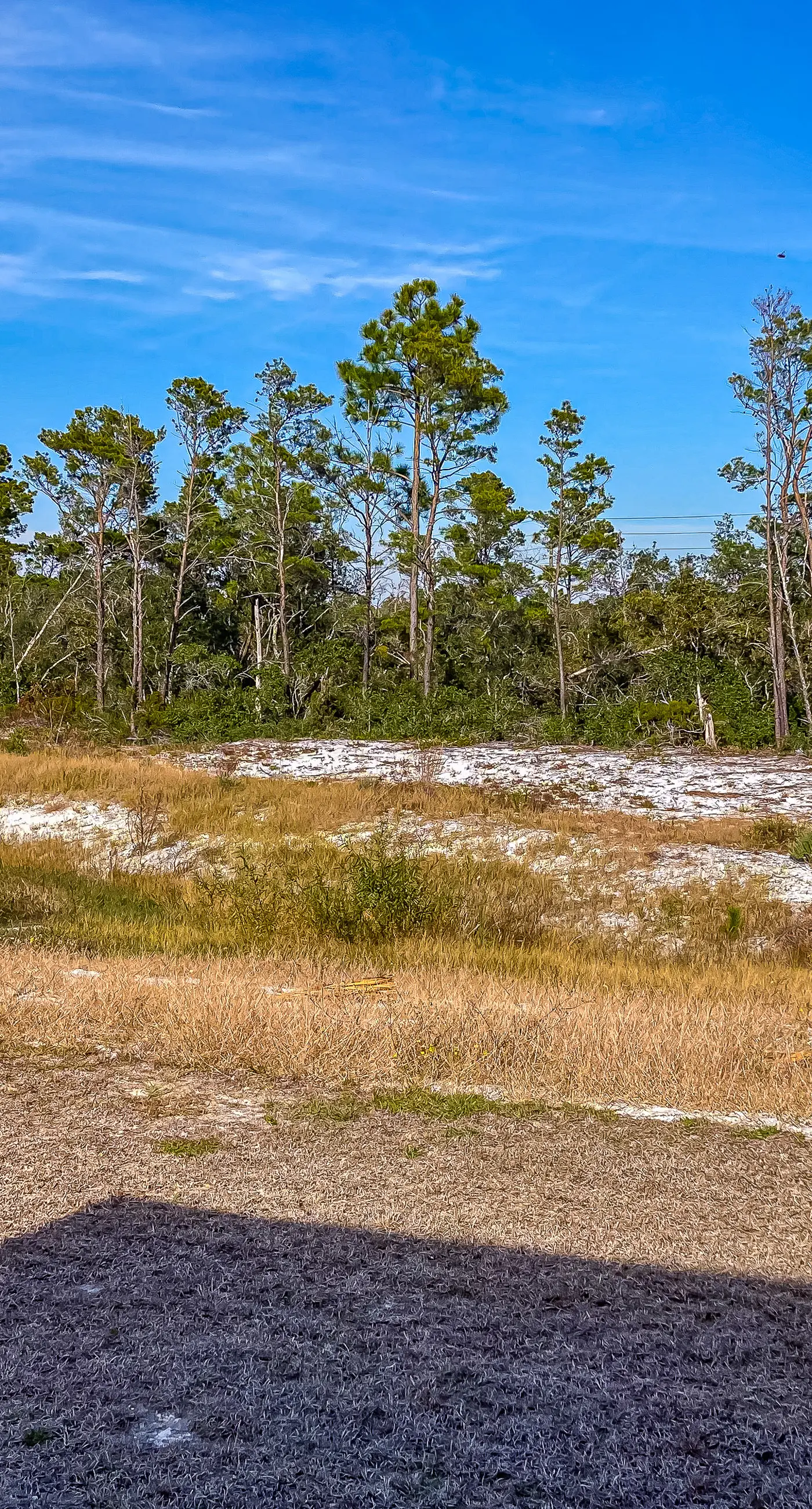 Snowbird-friendly resort home with pool, golf cart, patio, bikes, beach access