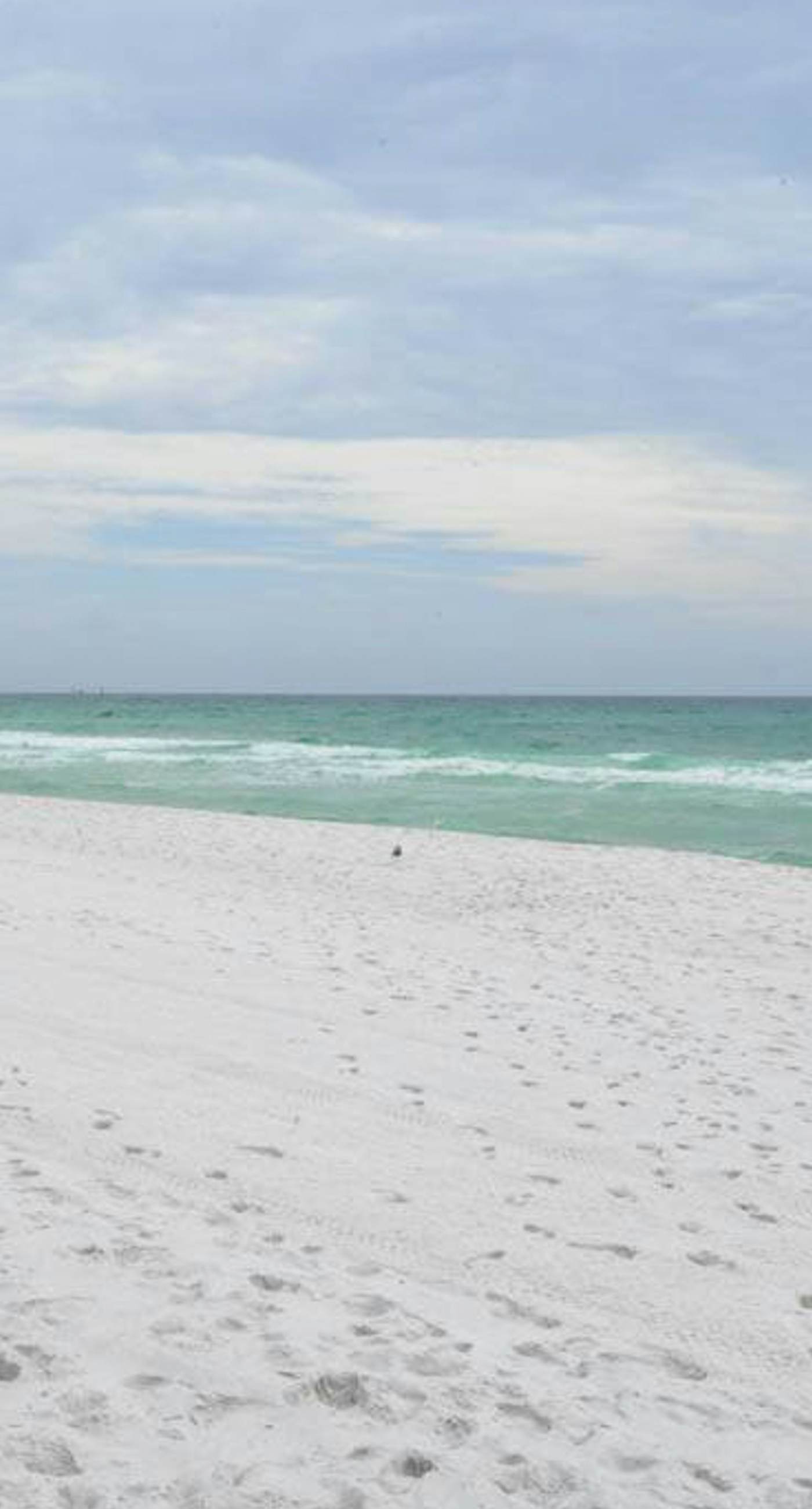 Azure 509. Gorgeous beachfront condo, private balcony, shared pool and beach access