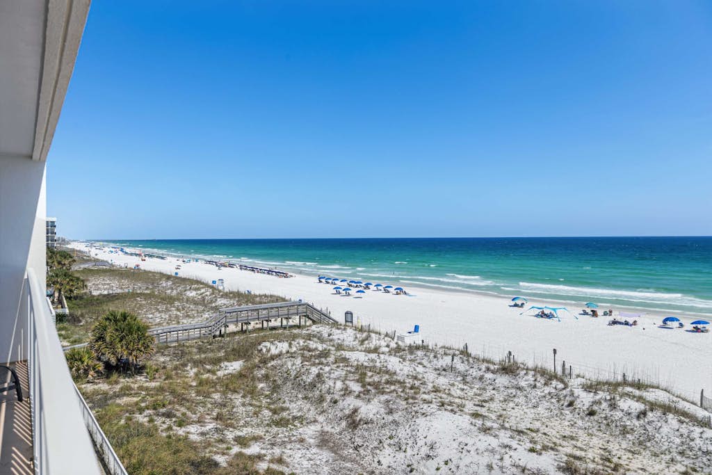 The Palms 401