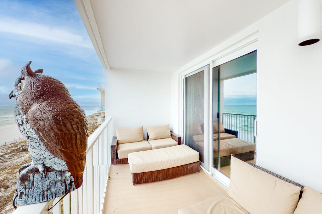 The Palms 504