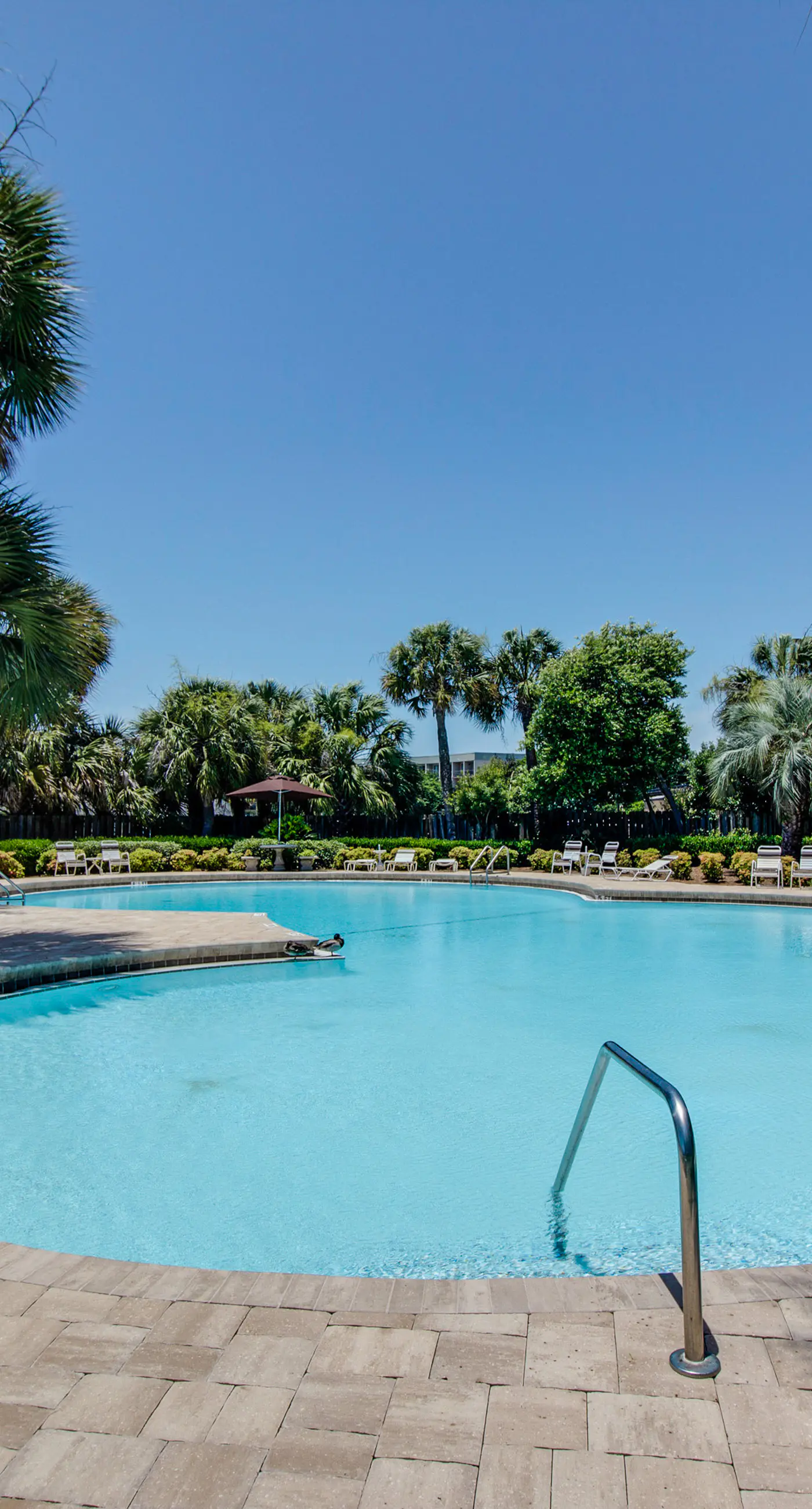 Wonderful sound-front studio with pool, central AC, balcony & elevator