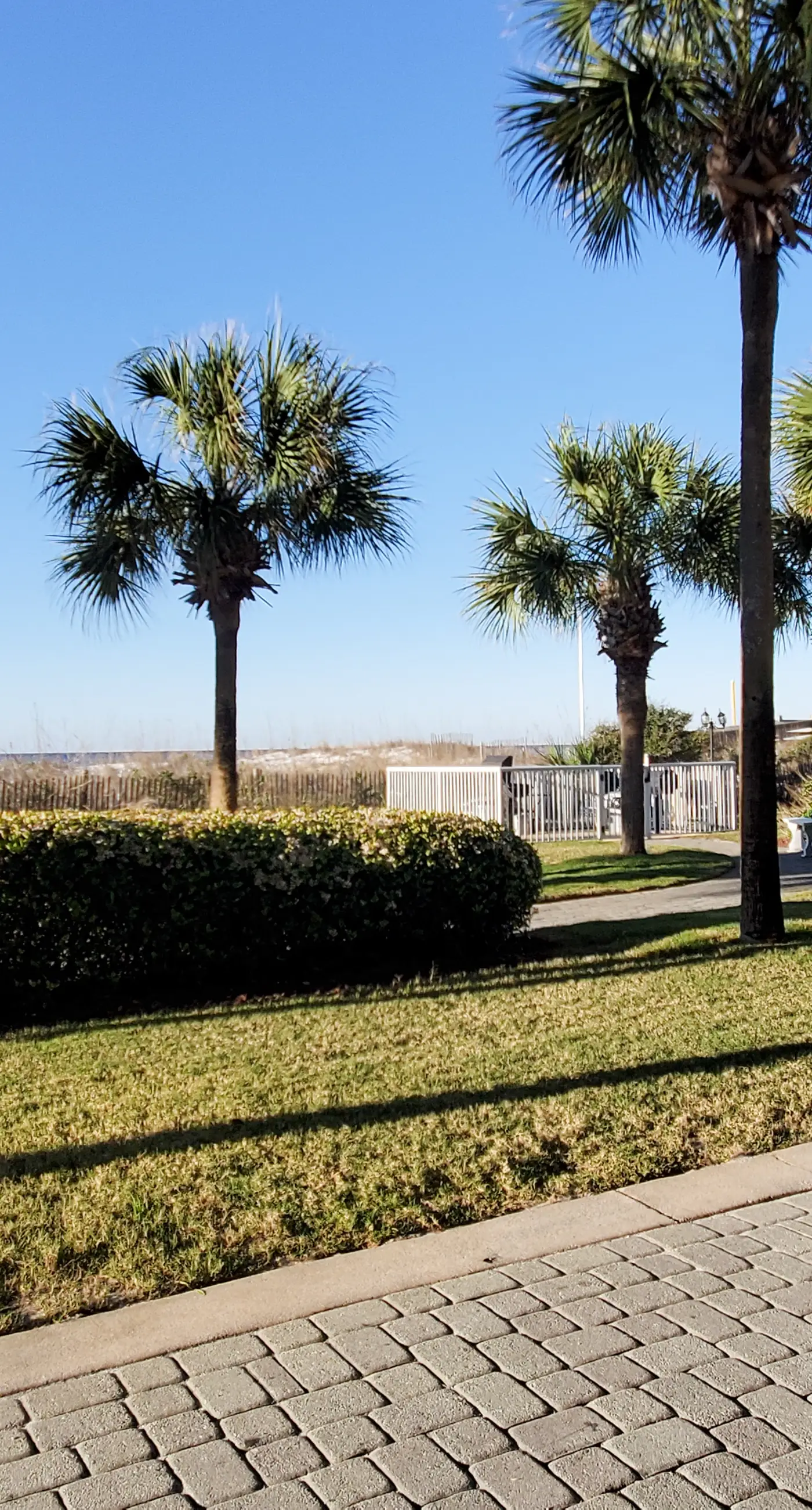 Ocean view condo with beach access, hot tub, outdoor pool, gym, BBQ, patio