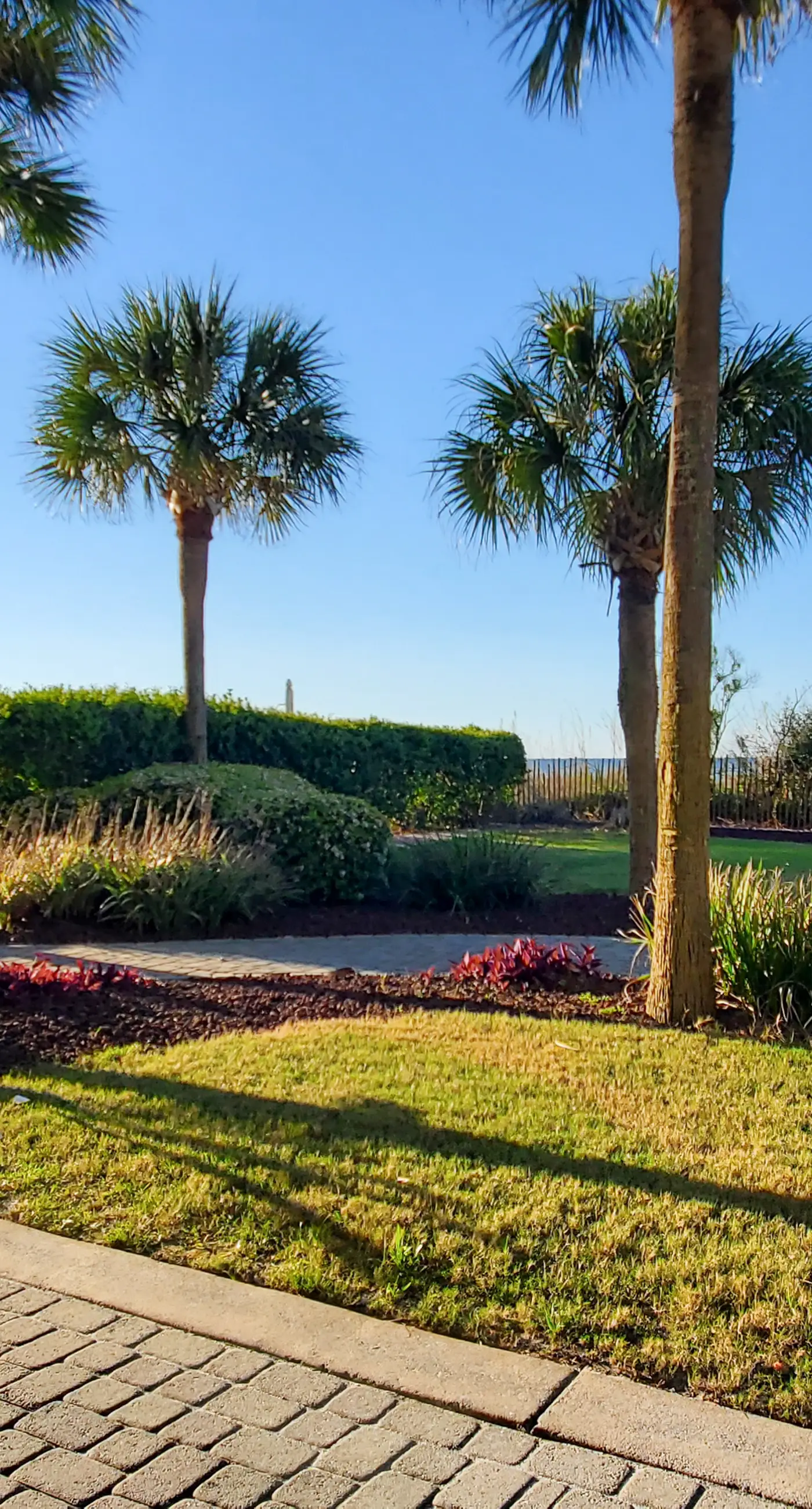 Ocean view condo with beach access, hot tub, outdoor pool, gym, BBQ, patio