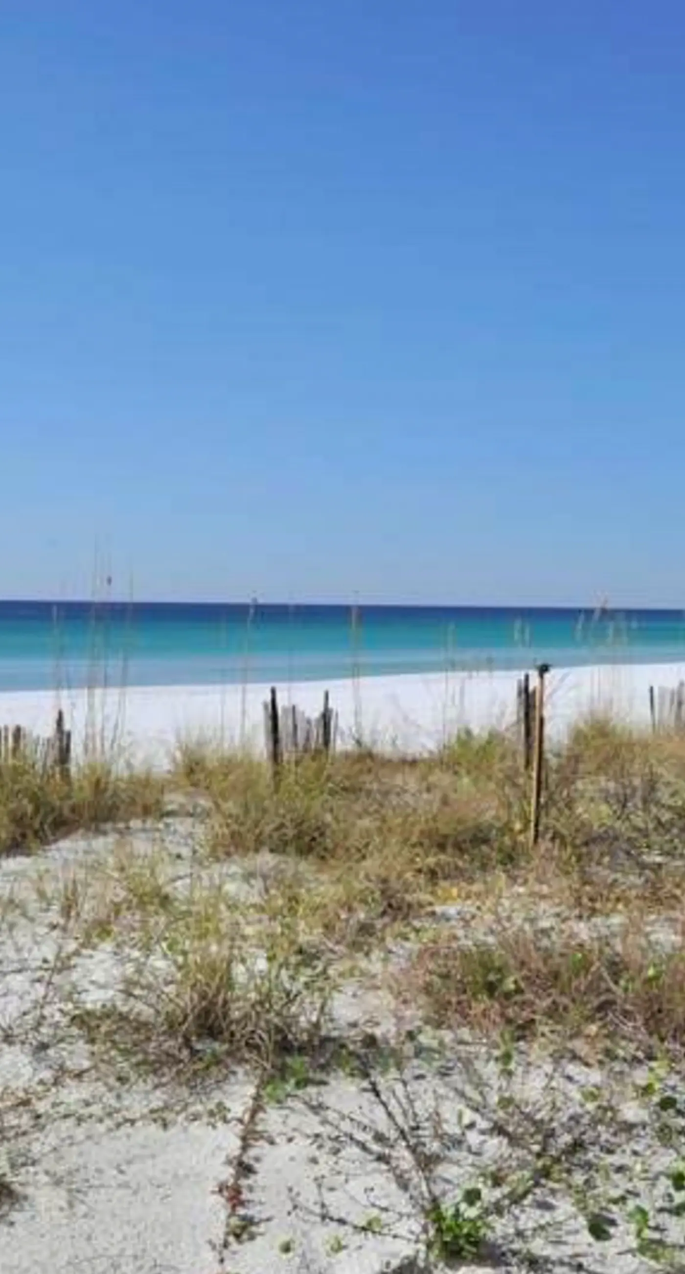 Surf Dweller 512- Spacious 5th floor condo with sweeping views of the Gulf, steps to beach