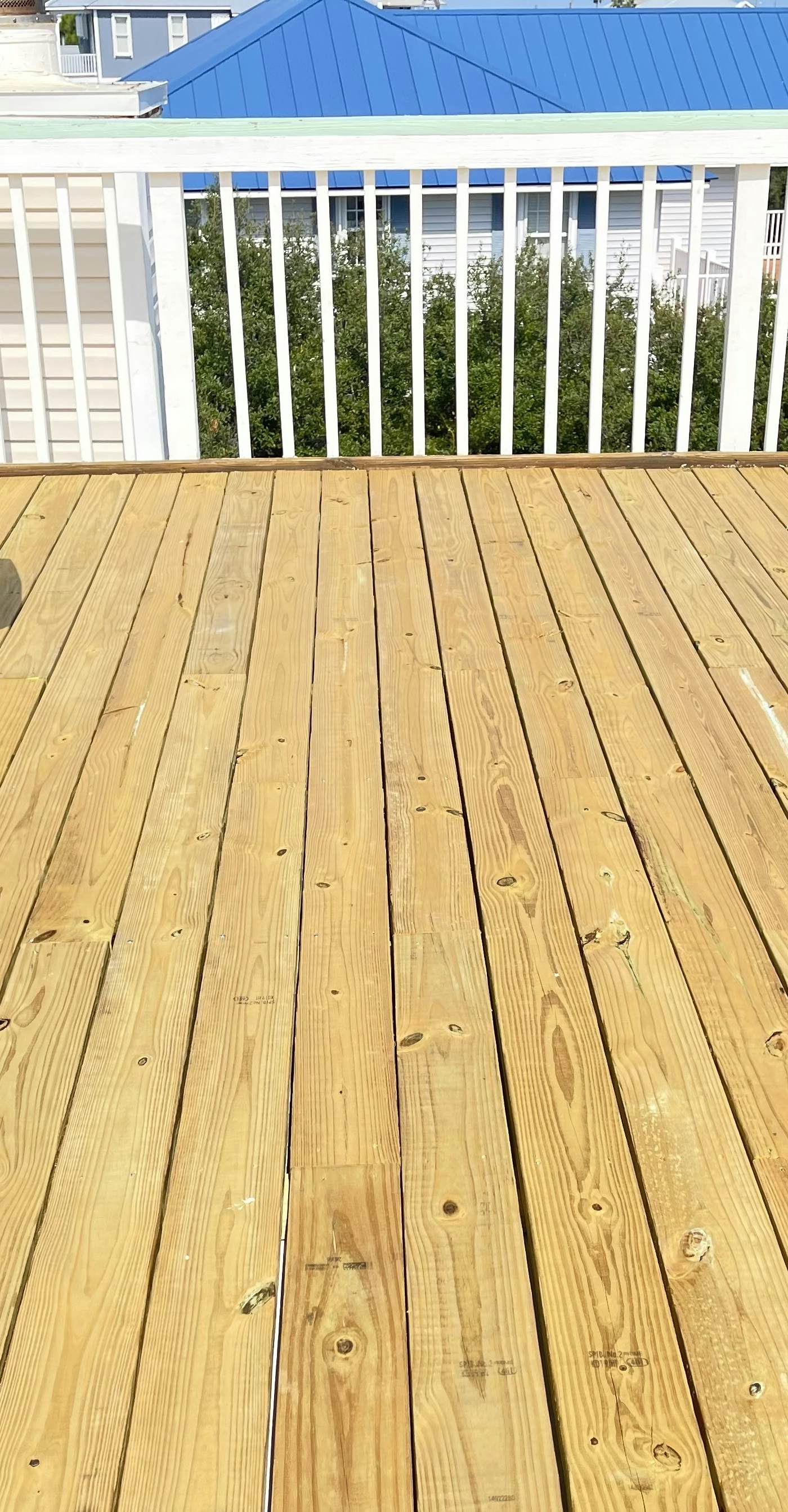 Beautiful dog-friendly home steps away from the beach