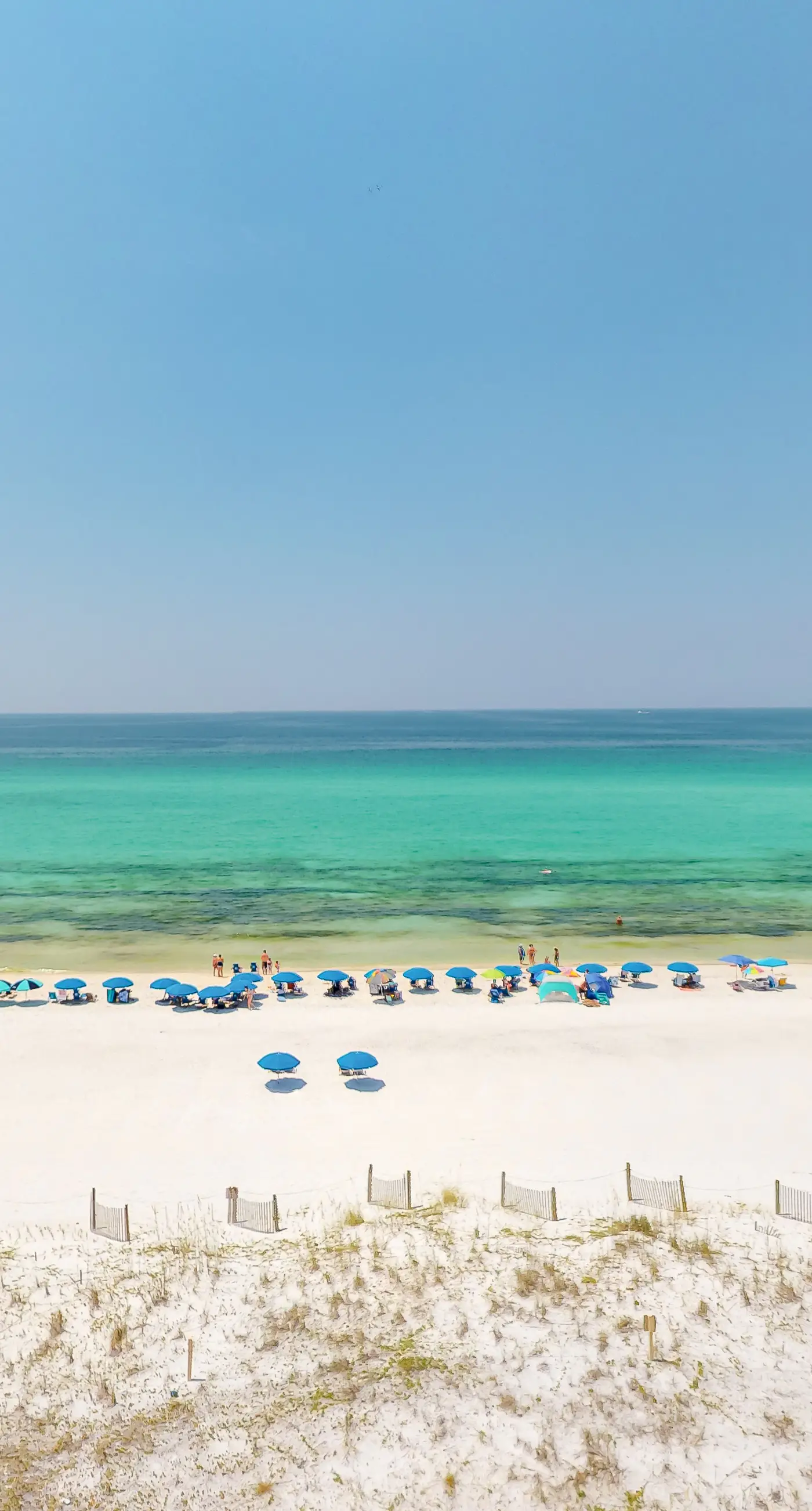 Surf Dweller 710- Seventh floor Gulf-front suite with amazing views, washer/dryer, AC & pool