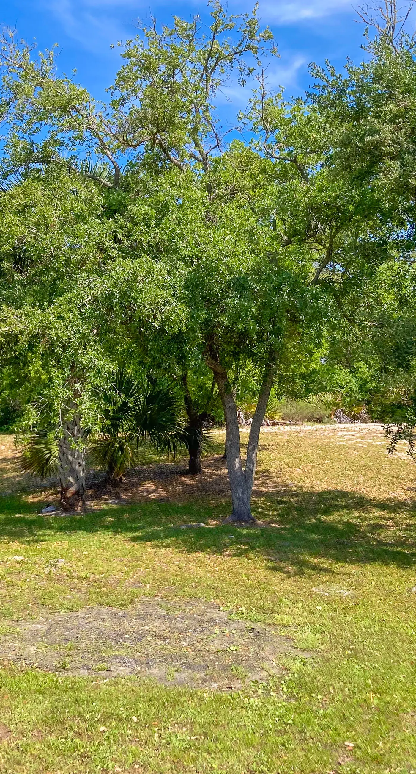 Charming beach house with a Gulf view, patio, deck, washer&dryer, & AC