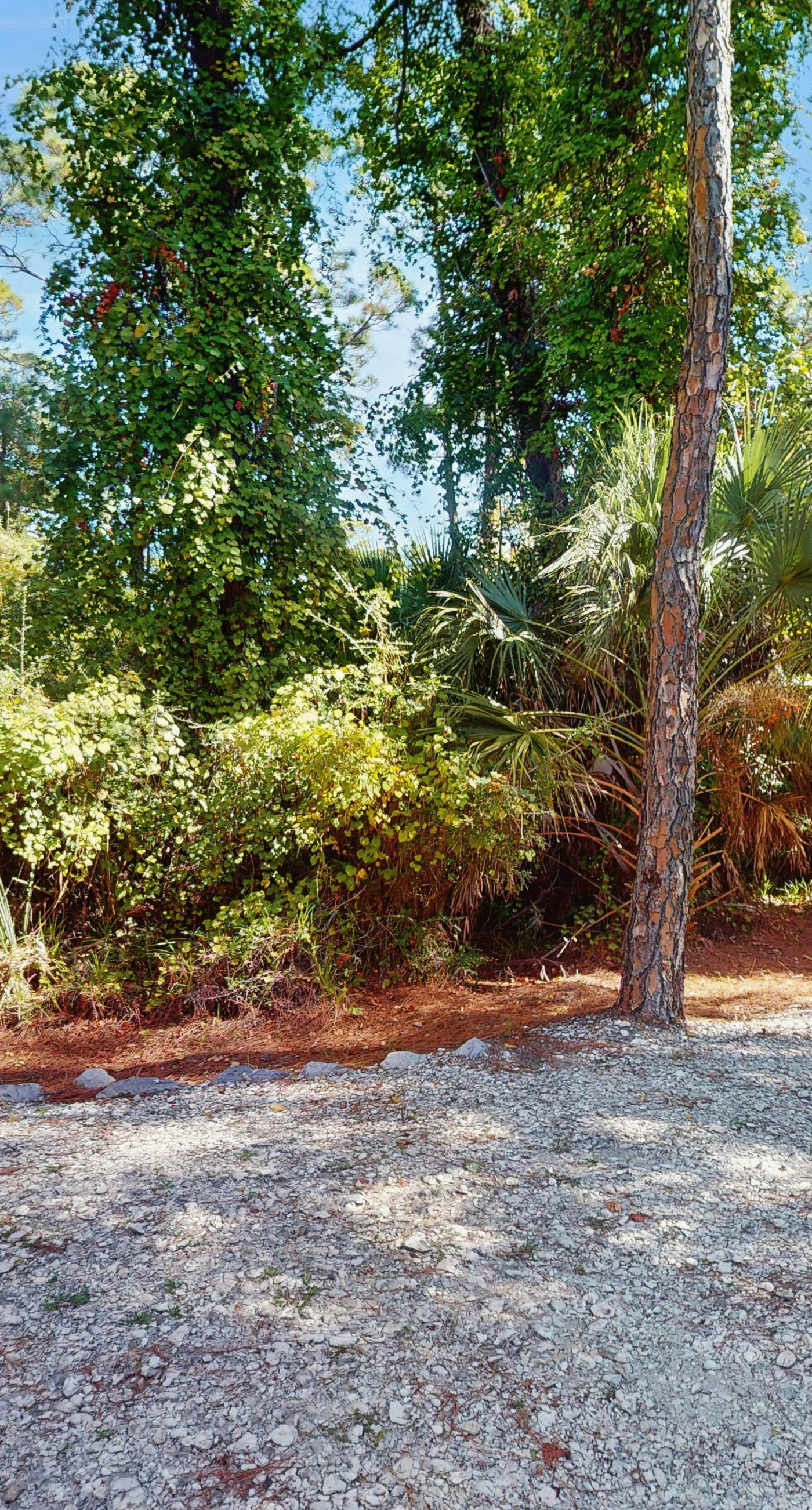 Snowbird-friendly home near the beach with deck, outdoor shower, W/D