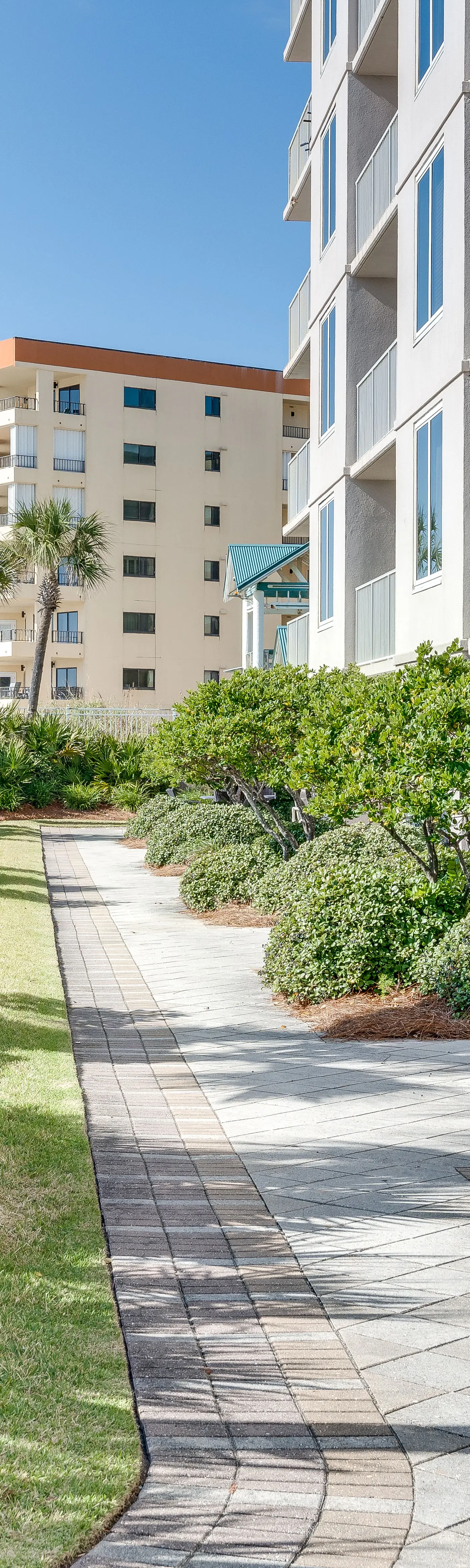 Island Princess 411- Seaside condo with wonderful beach views, balcony, grill, pool, hot tub, & gym