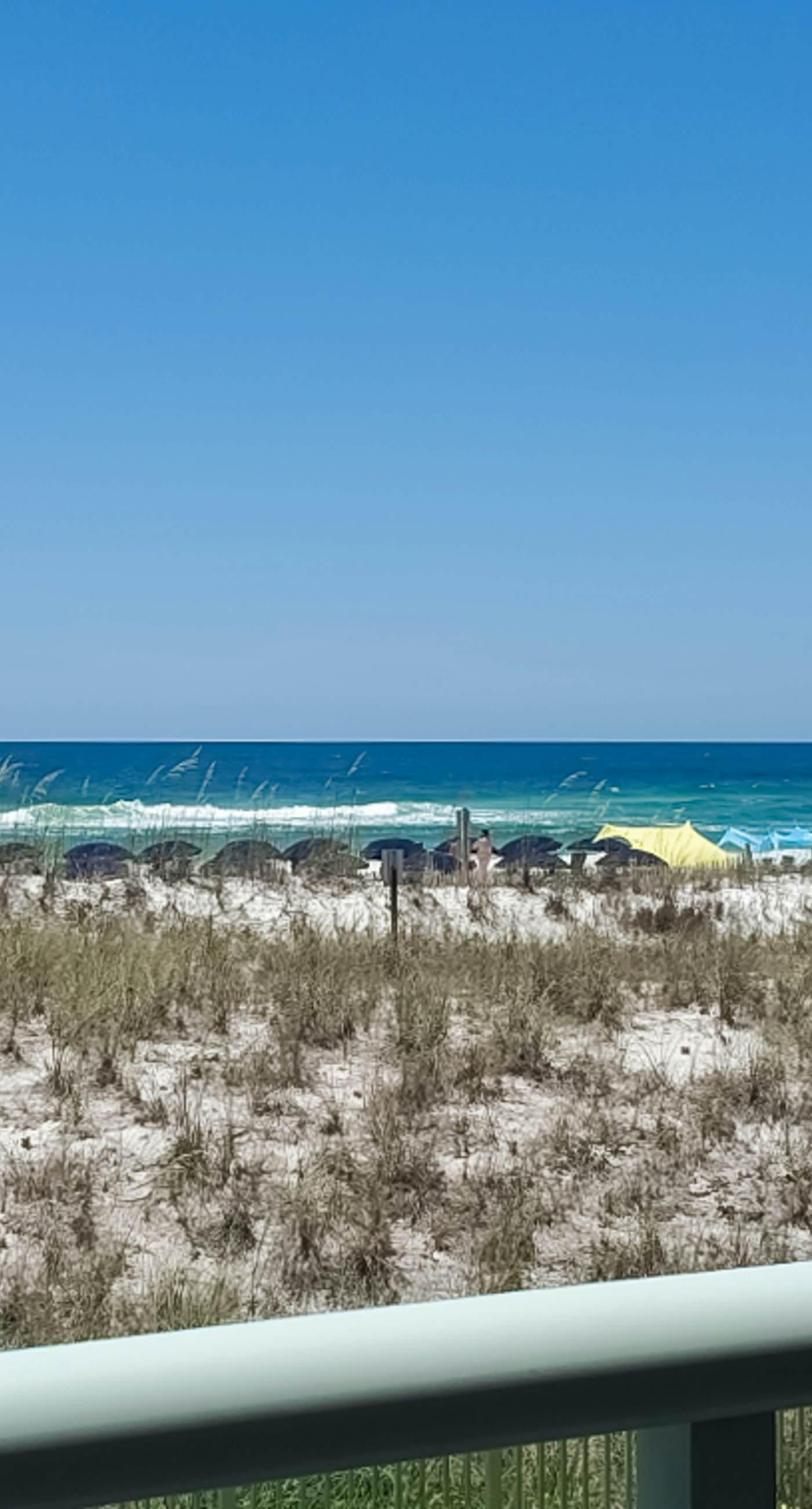 Pelican Isle 102 - Beachfront Condo, gorgeous views, shared pool and beach access