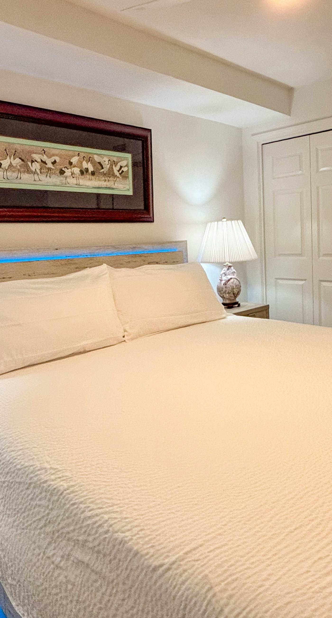 Pelican Isle 102 - Beachfront Condo, gorgeous views, shared pool and beach access