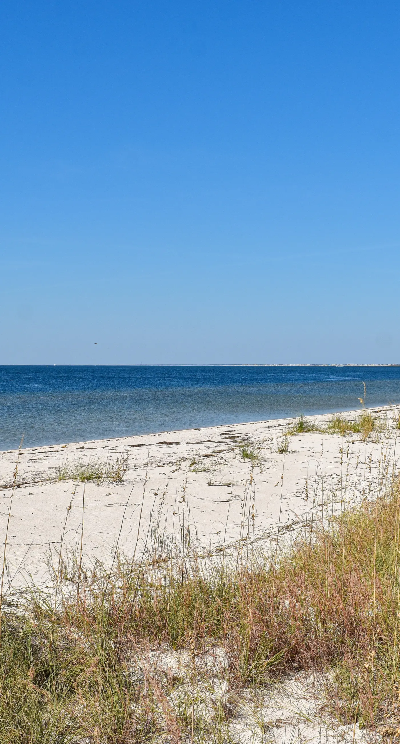 Heated community pool, themed kids room, dog friendly Beach, & Relaxing Massage