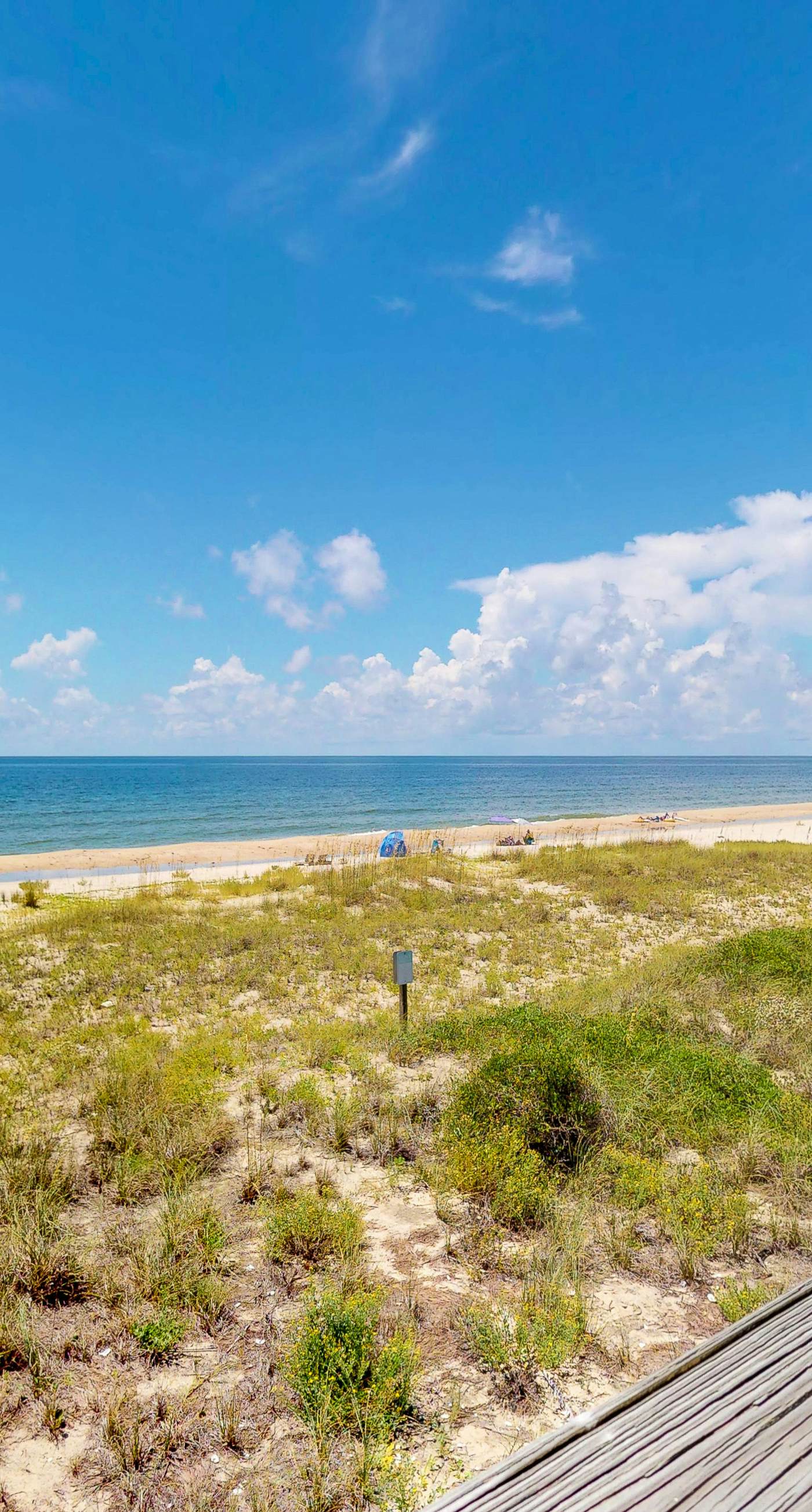 Dog-friendly Condo with a Shared Pool, Great Beach Vibes, & Stunning Views